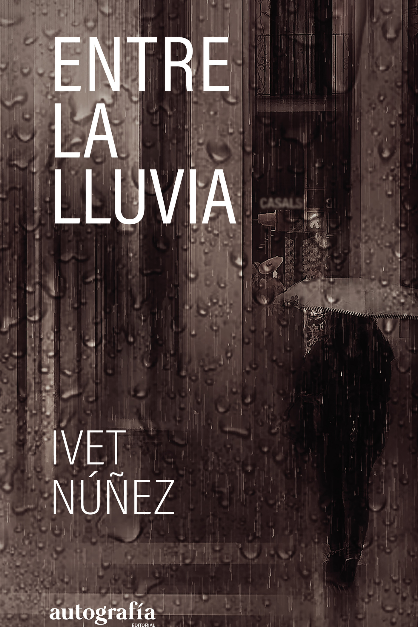 Portada de Entre la lluvia