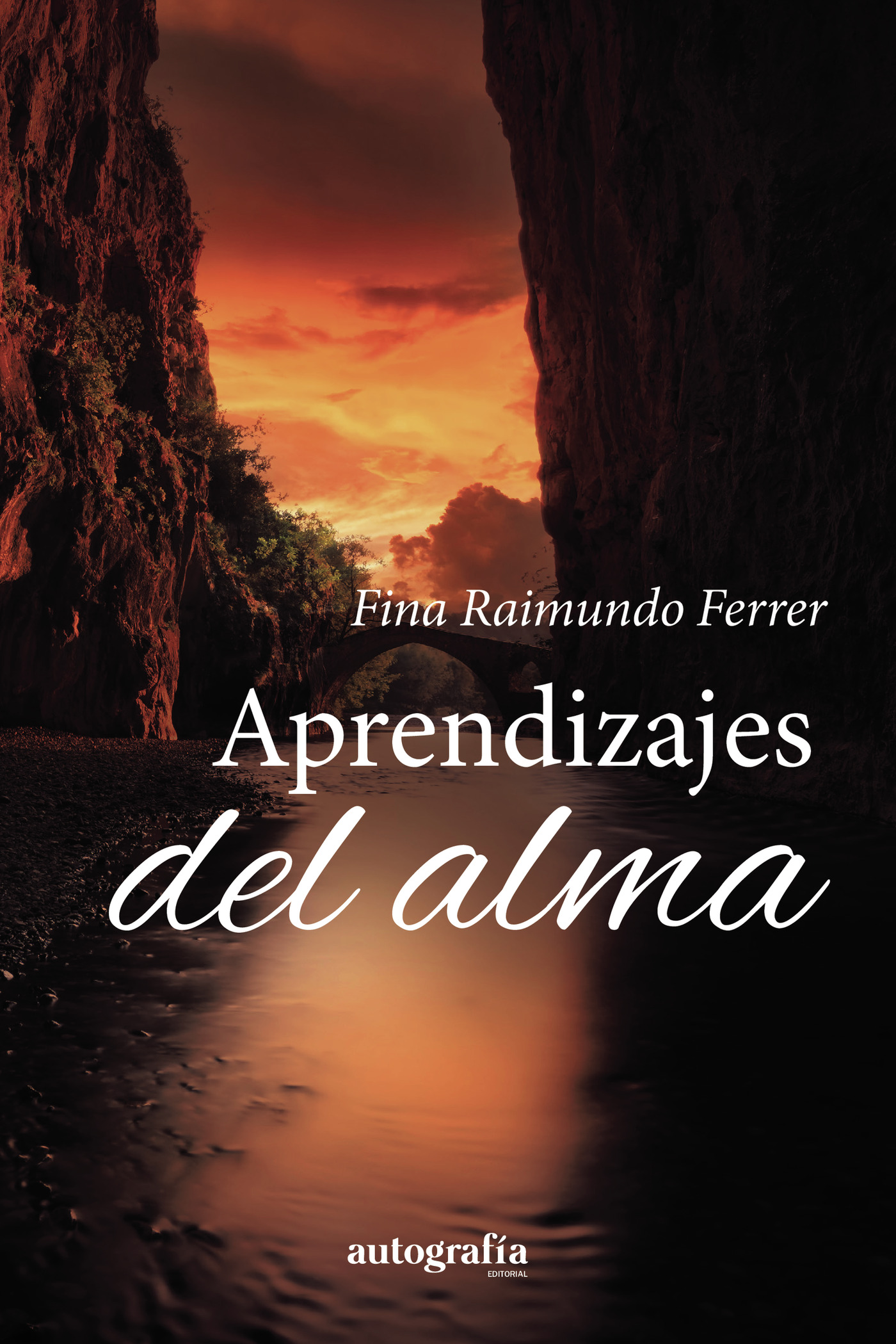 Portada de Bajo la luz de la luna