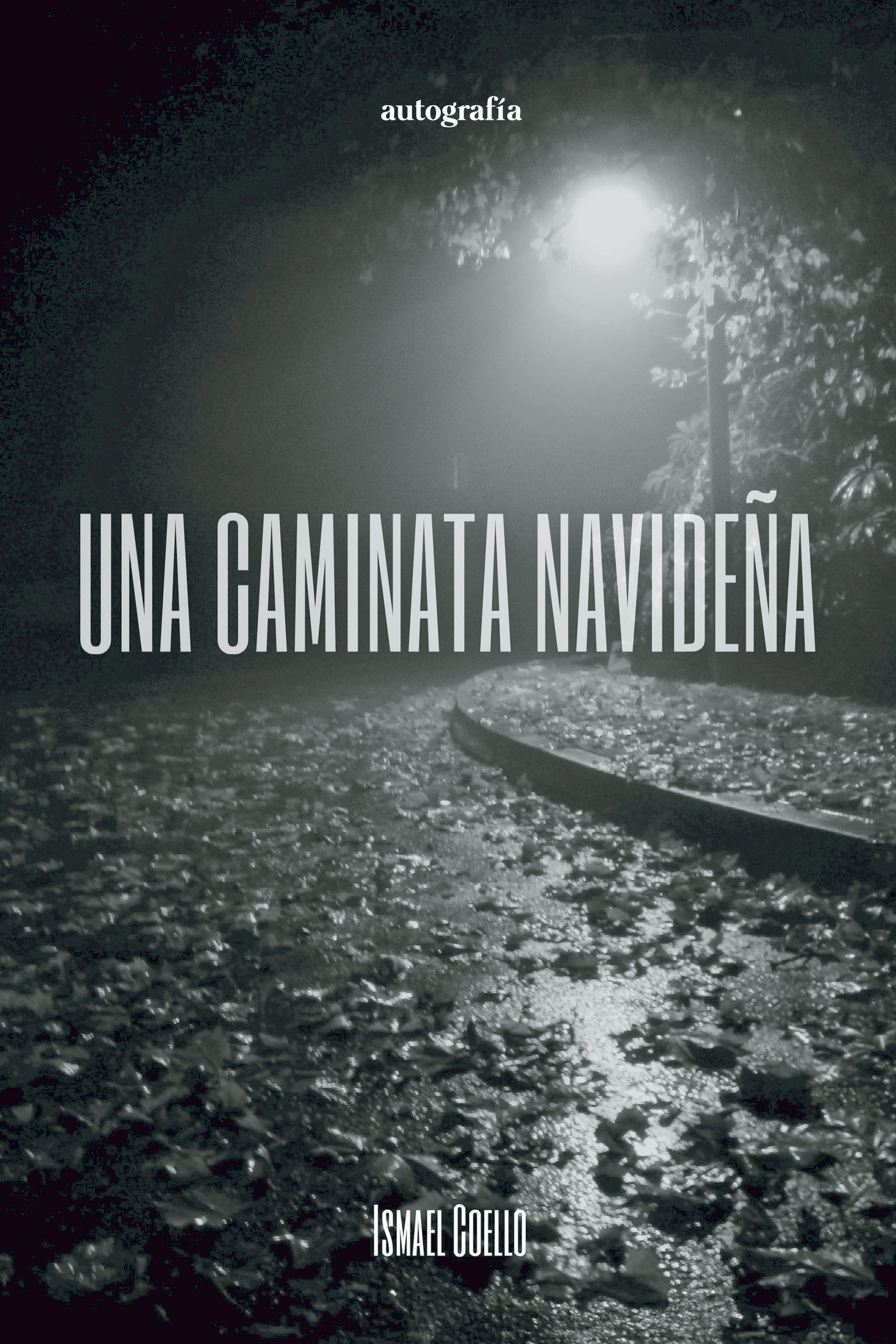 Portada de Una caminata navideña