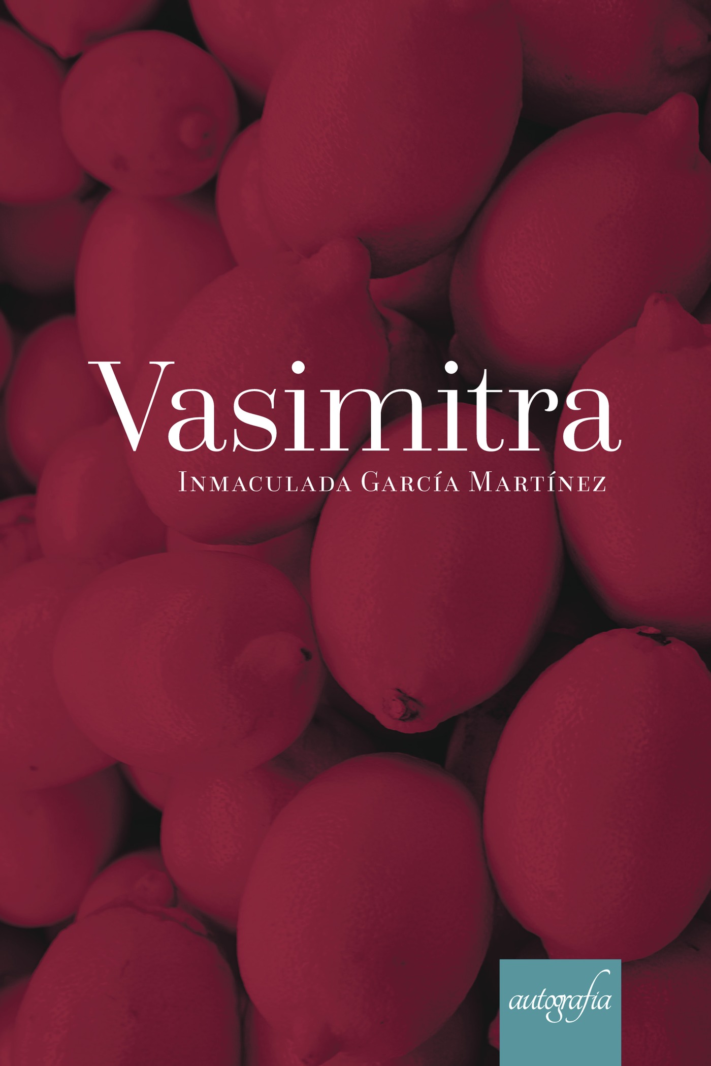 Portada de Vasimitra · Inmaculada García Martínez