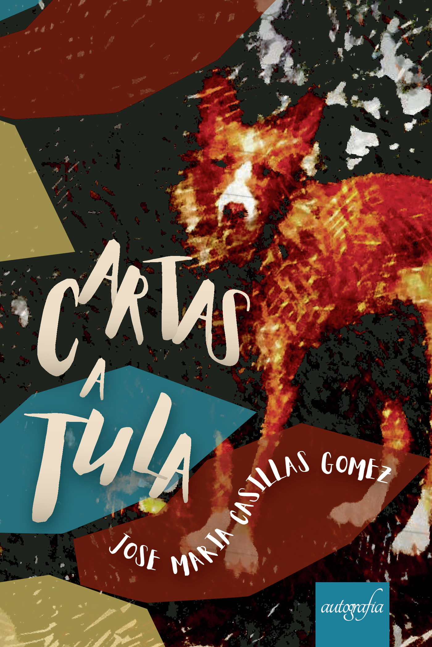 Portada de Cartas a Tula
