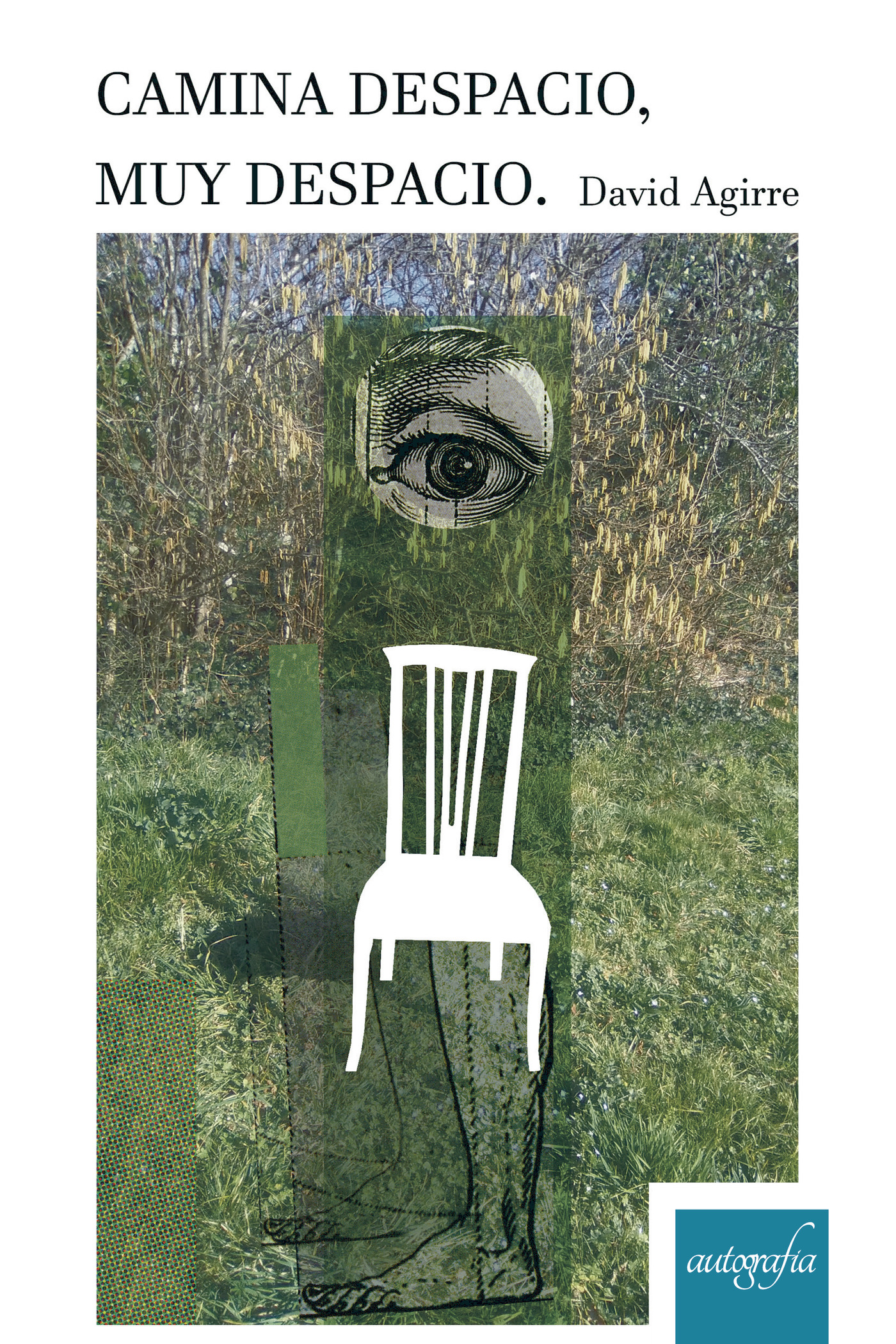 Portada de Camina despacio, muy despacio. · David Agirre