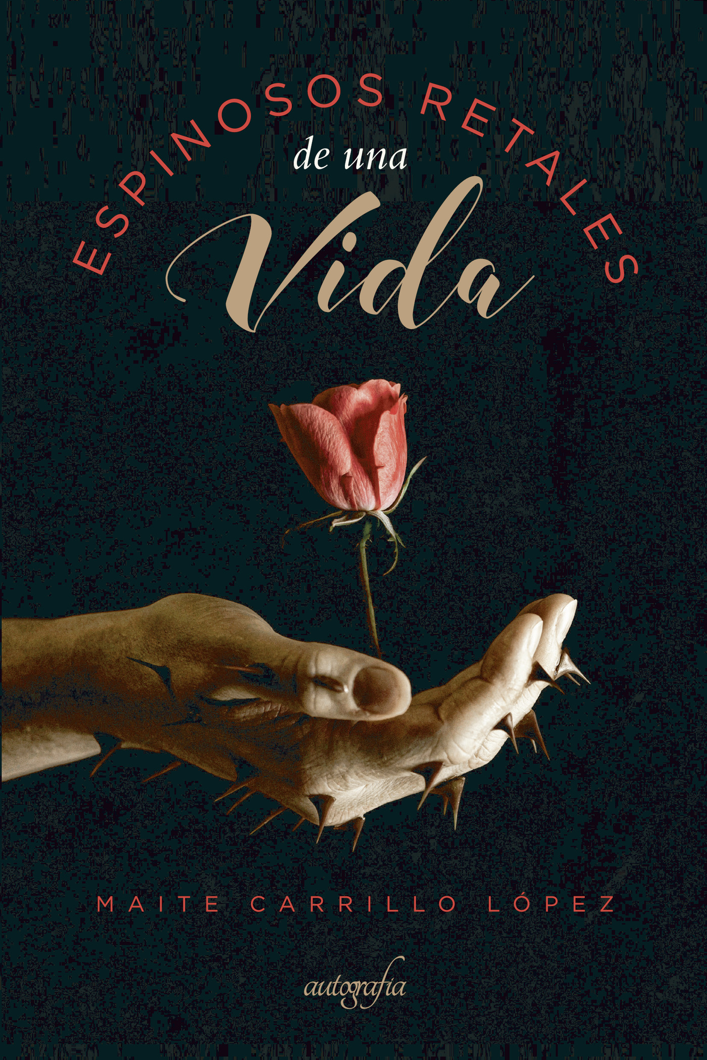 Portada de Espinosos retales de una vida