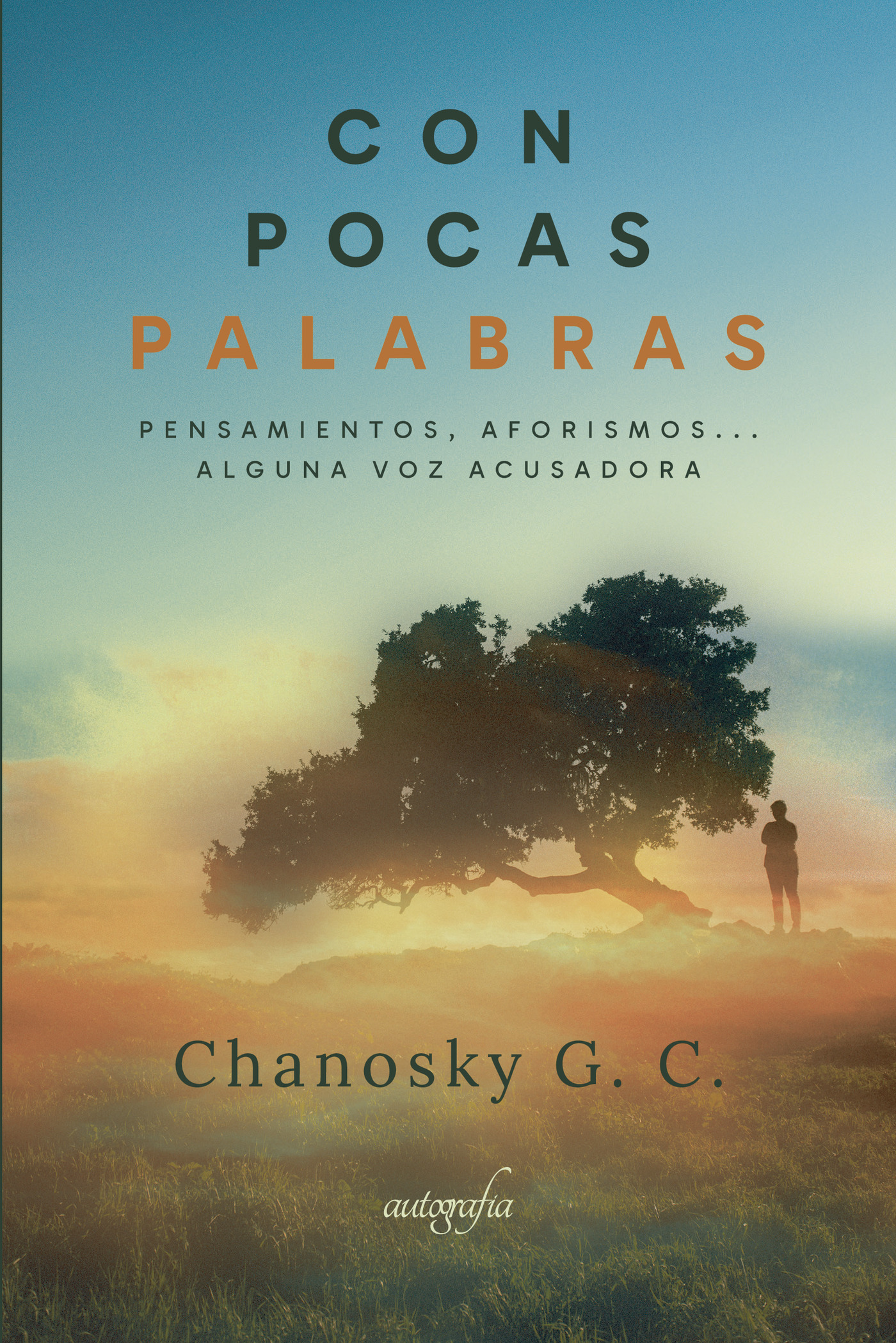 Portada de Con pocas palabras