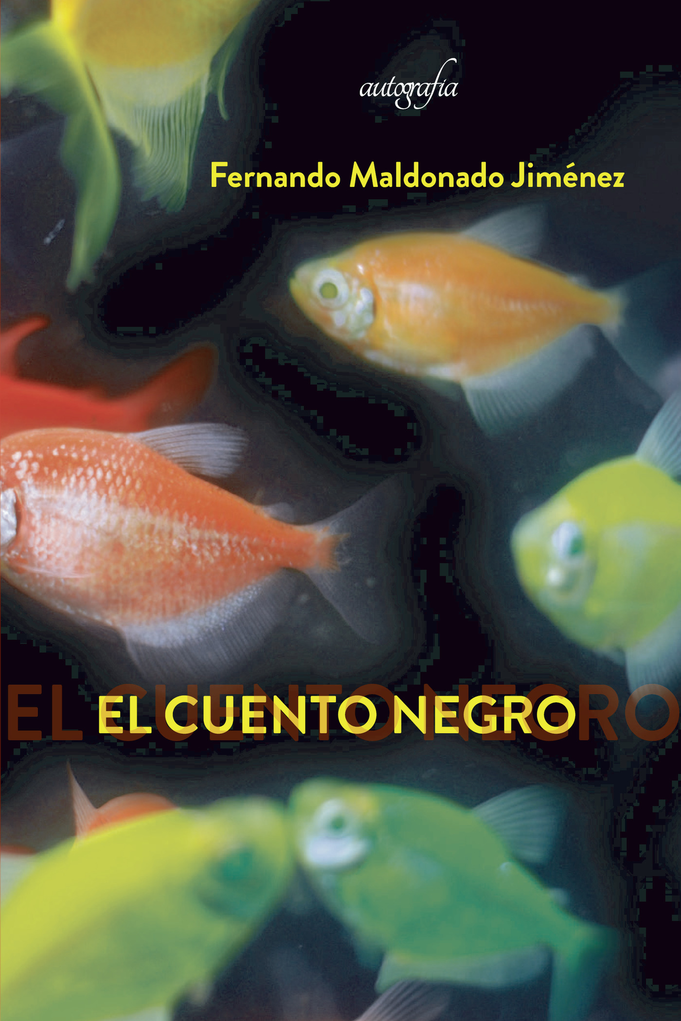 Portada de El Cuento Negro · Fernando Maldonado Jiménez