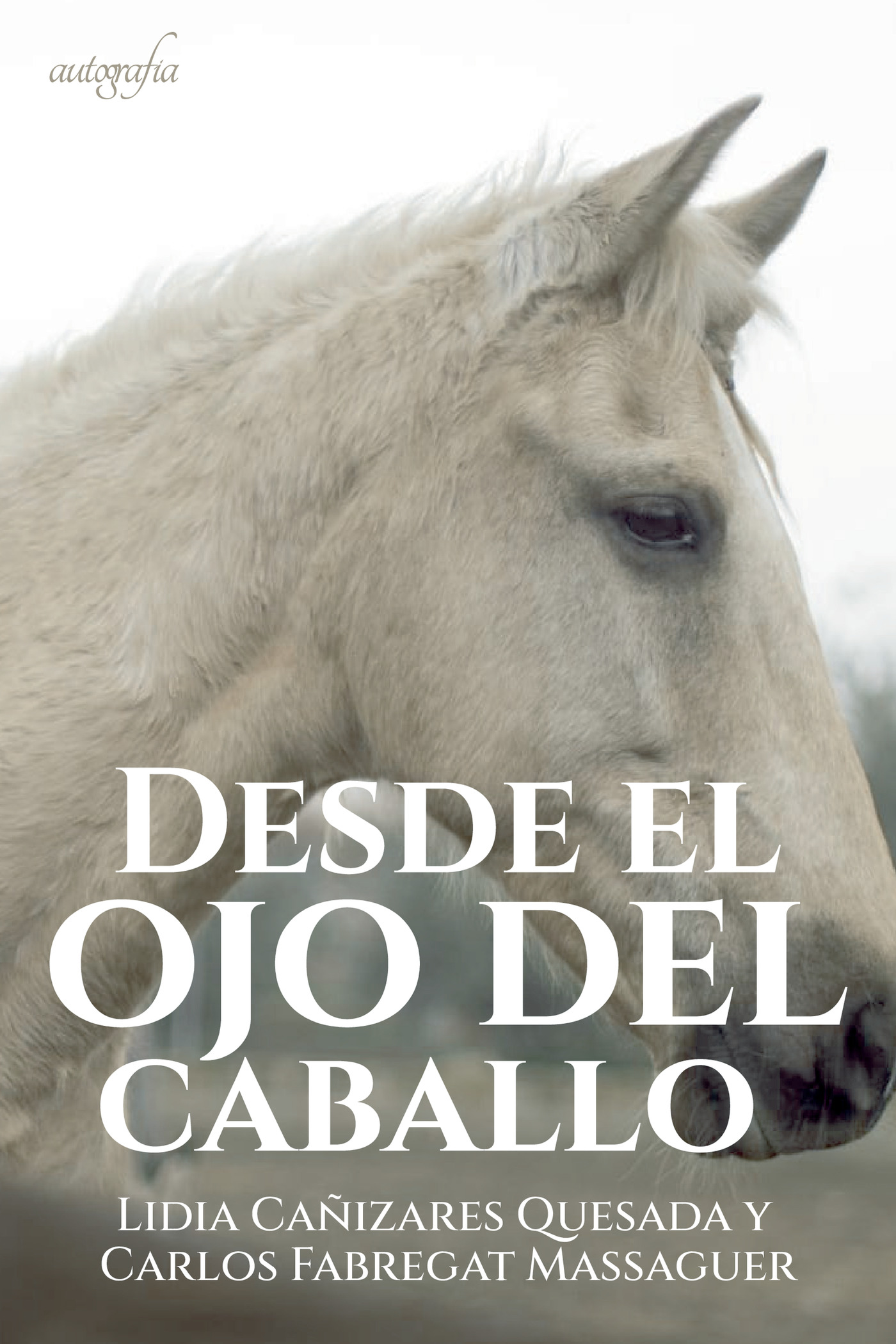 Portada de Desde el ojo del caballo