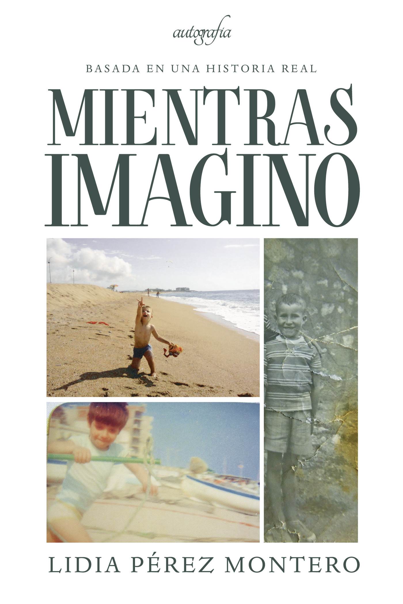Portada de Mientras imagino