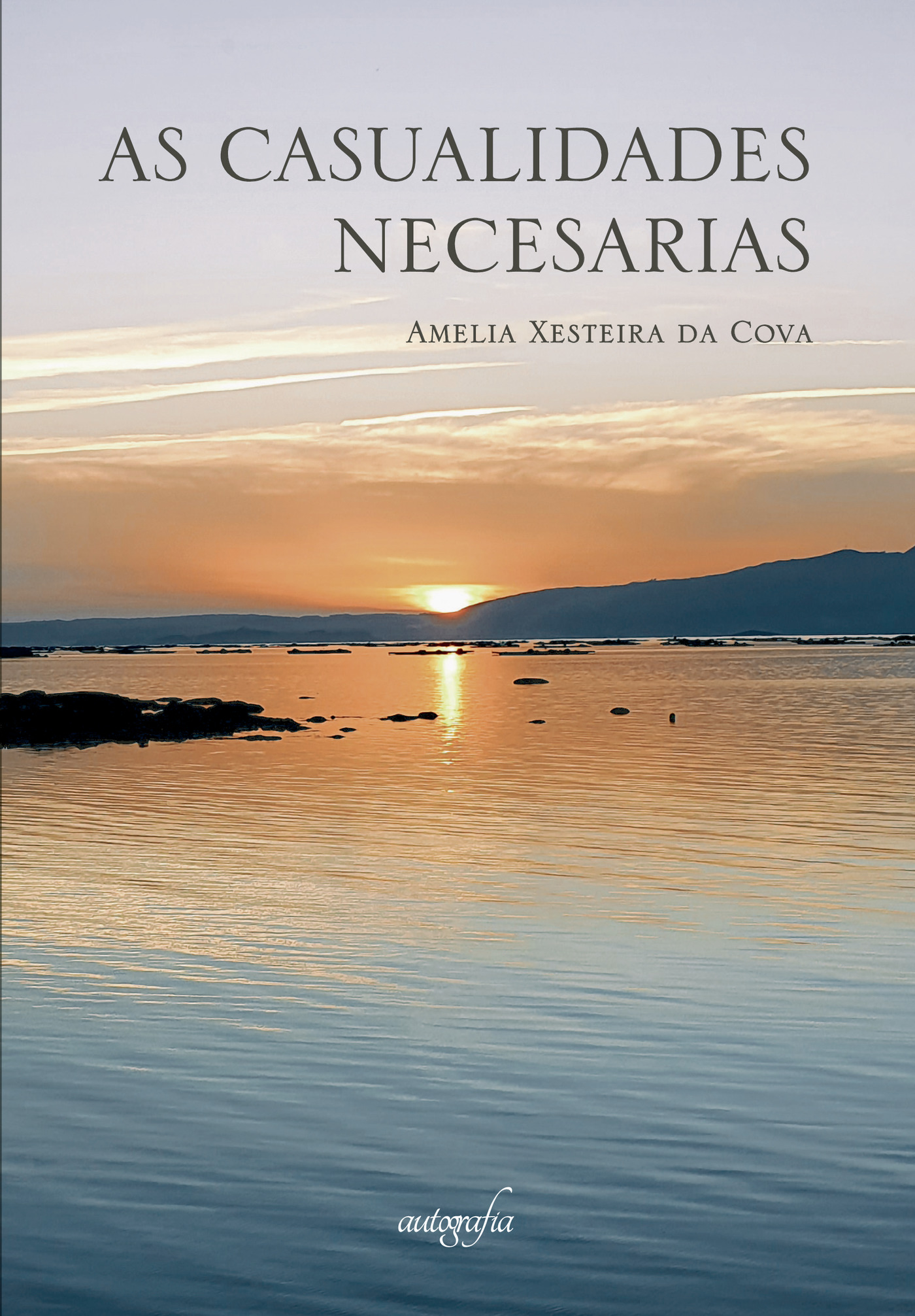 Portada de As casualidades necesarias
