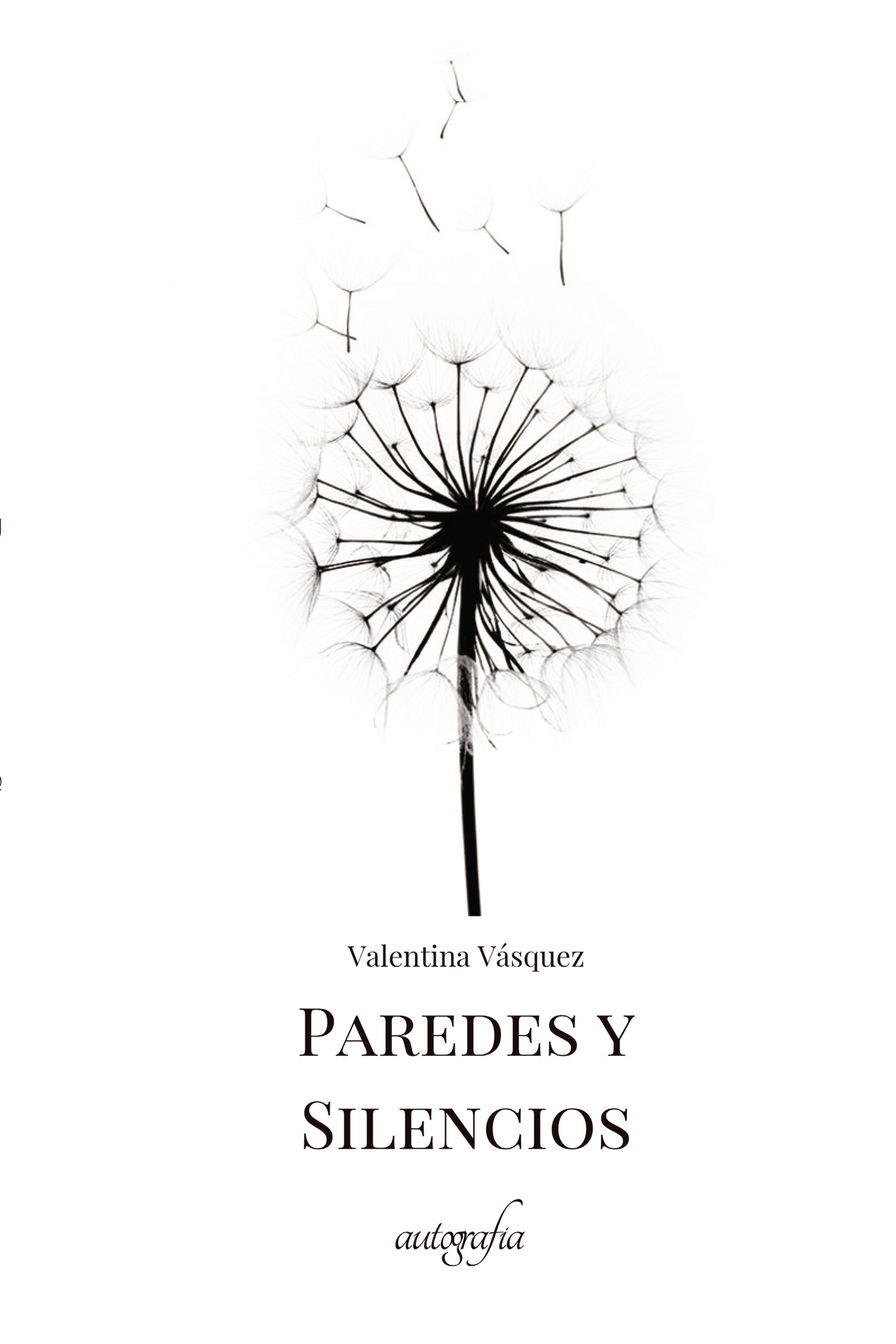 Portada de Paredes y silencios