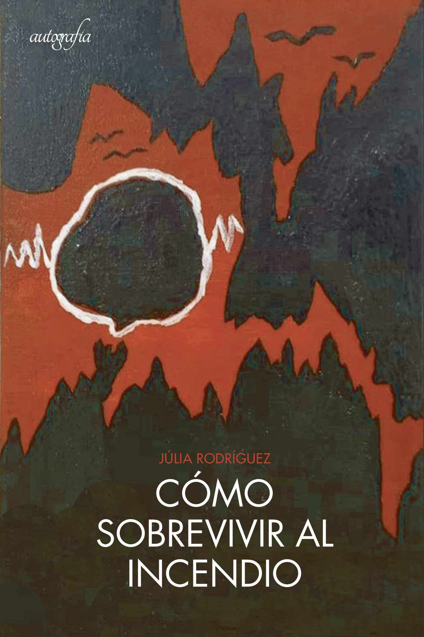 Portada de Como sobrevivir al incendio