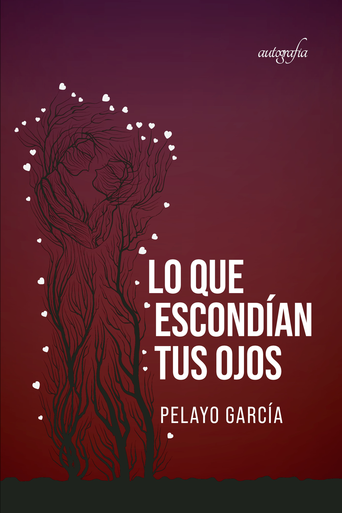 Portada de Lo que escondían tus ojos