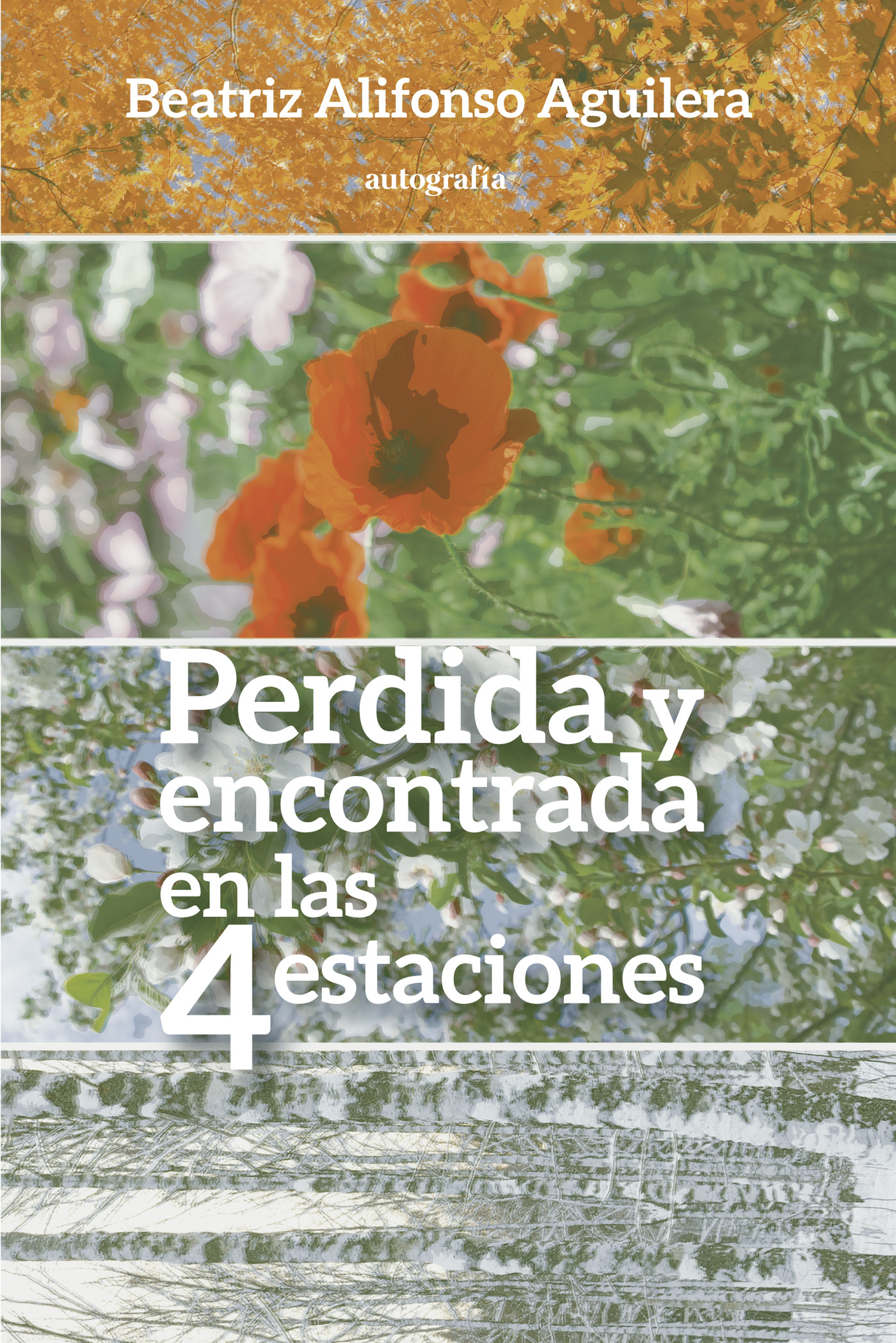 Portada de Perdida y encontrada en las cuatro estaciones