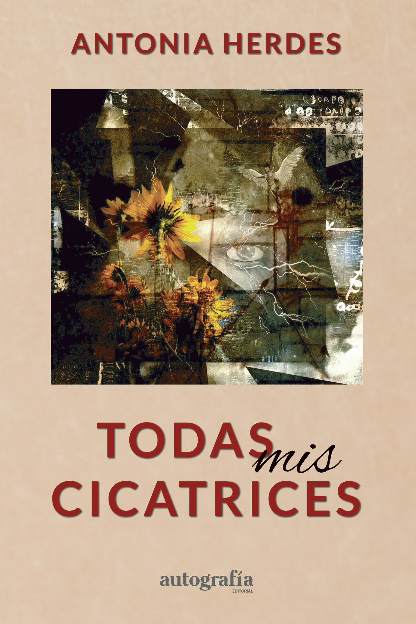 Portada de Todas mis cicatrices