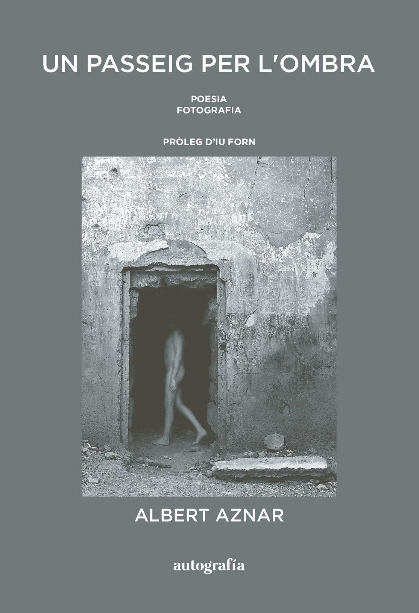 Portada de Un passeig per lombra