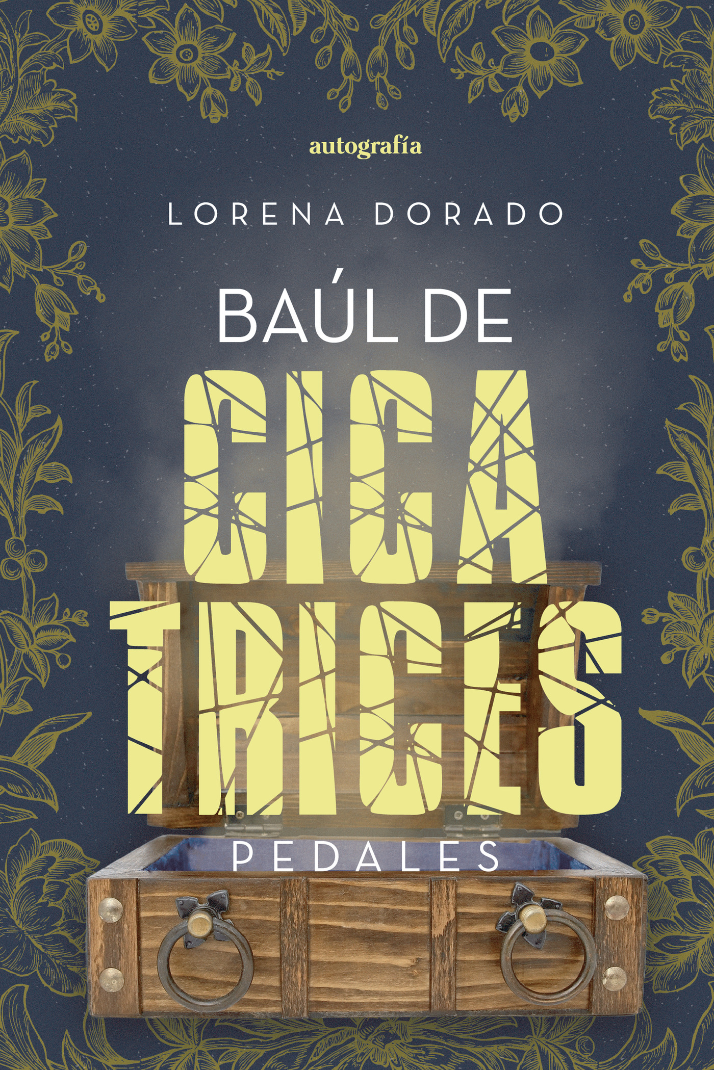 Portada de Baúl de cicatrices