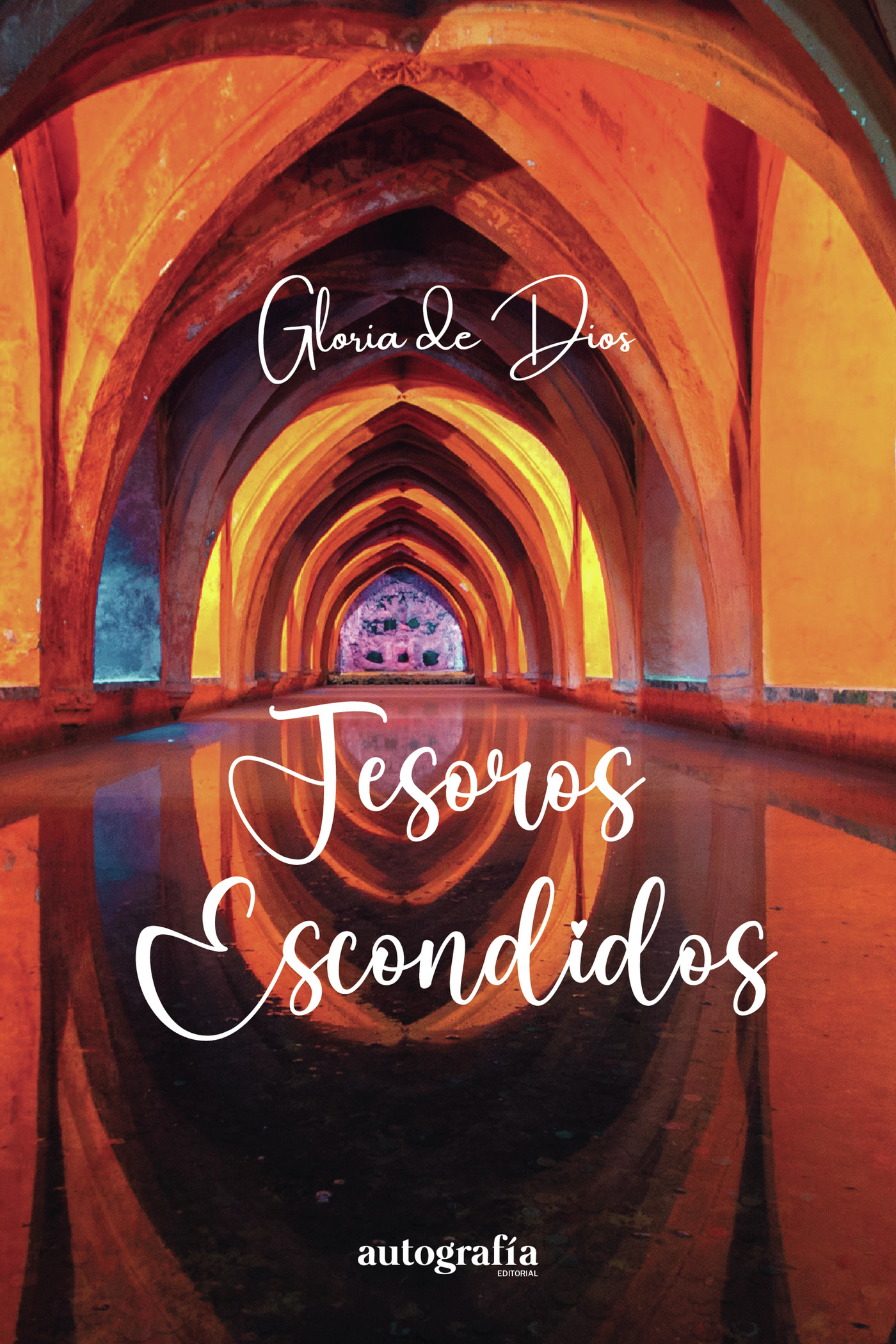 Portada de Tesoros escondidos
