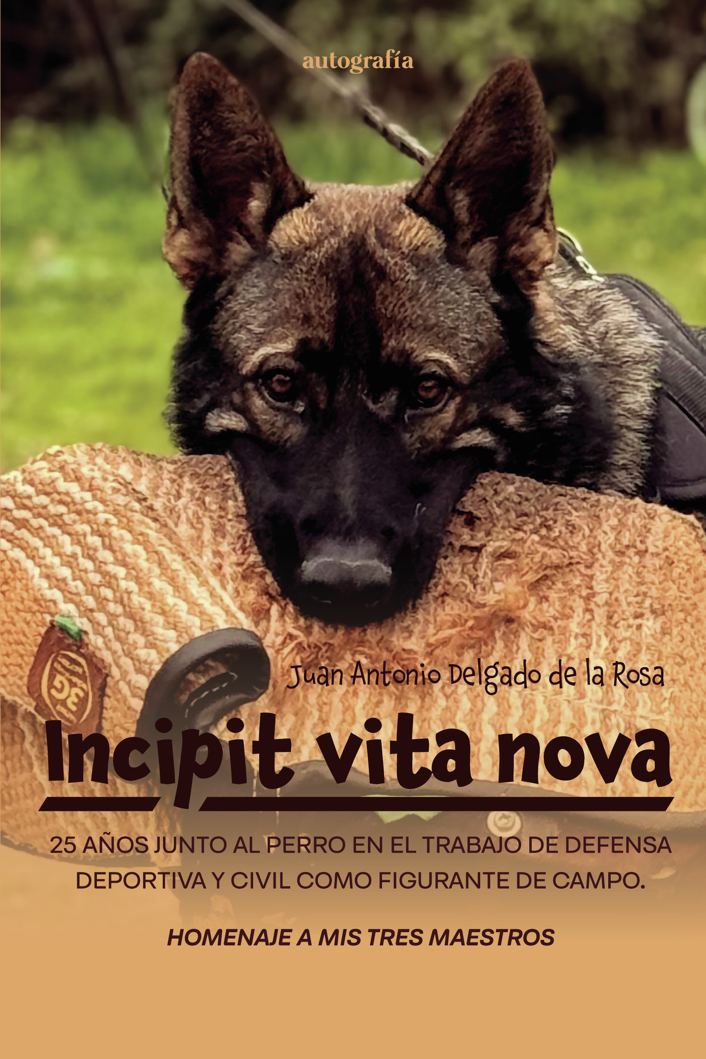 Portada de Incipit vita nova