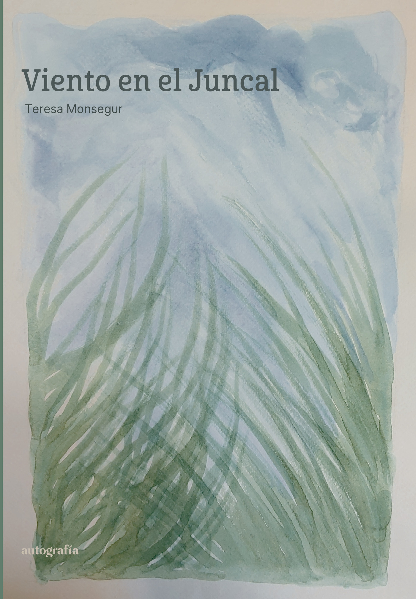 Portada de Viento en el Juncal · Teresa Monsegur