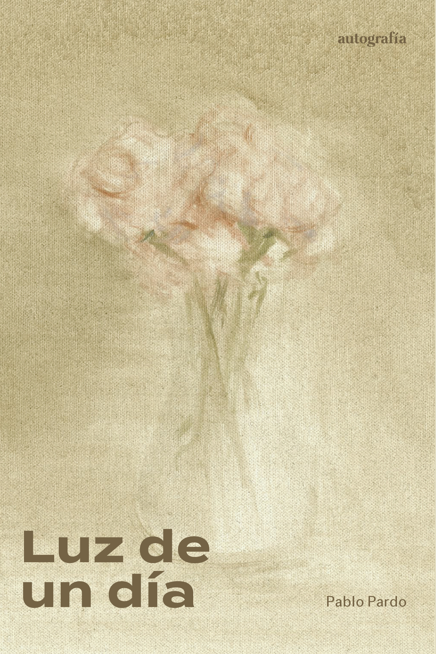 Portada de Luz de un día