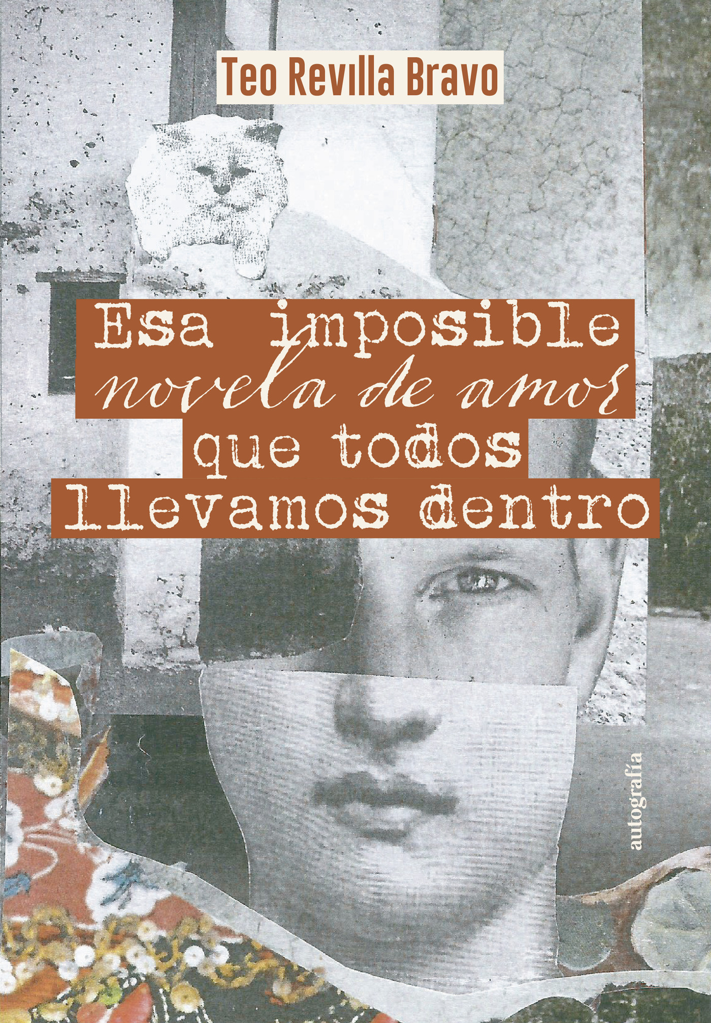 Portada de Esa imposible novela de amor que todos llevamos dentro