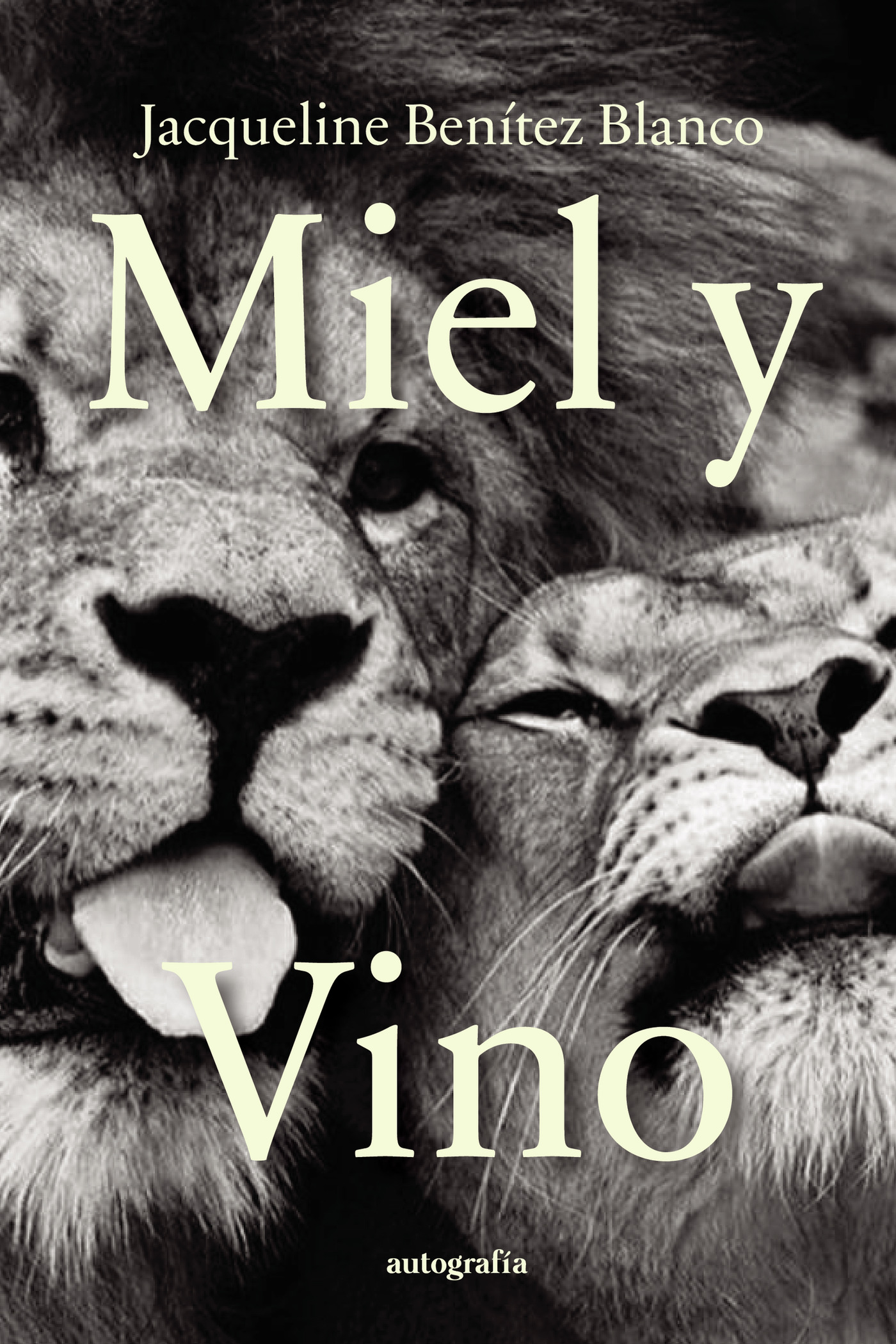 Portada de Miel y vino