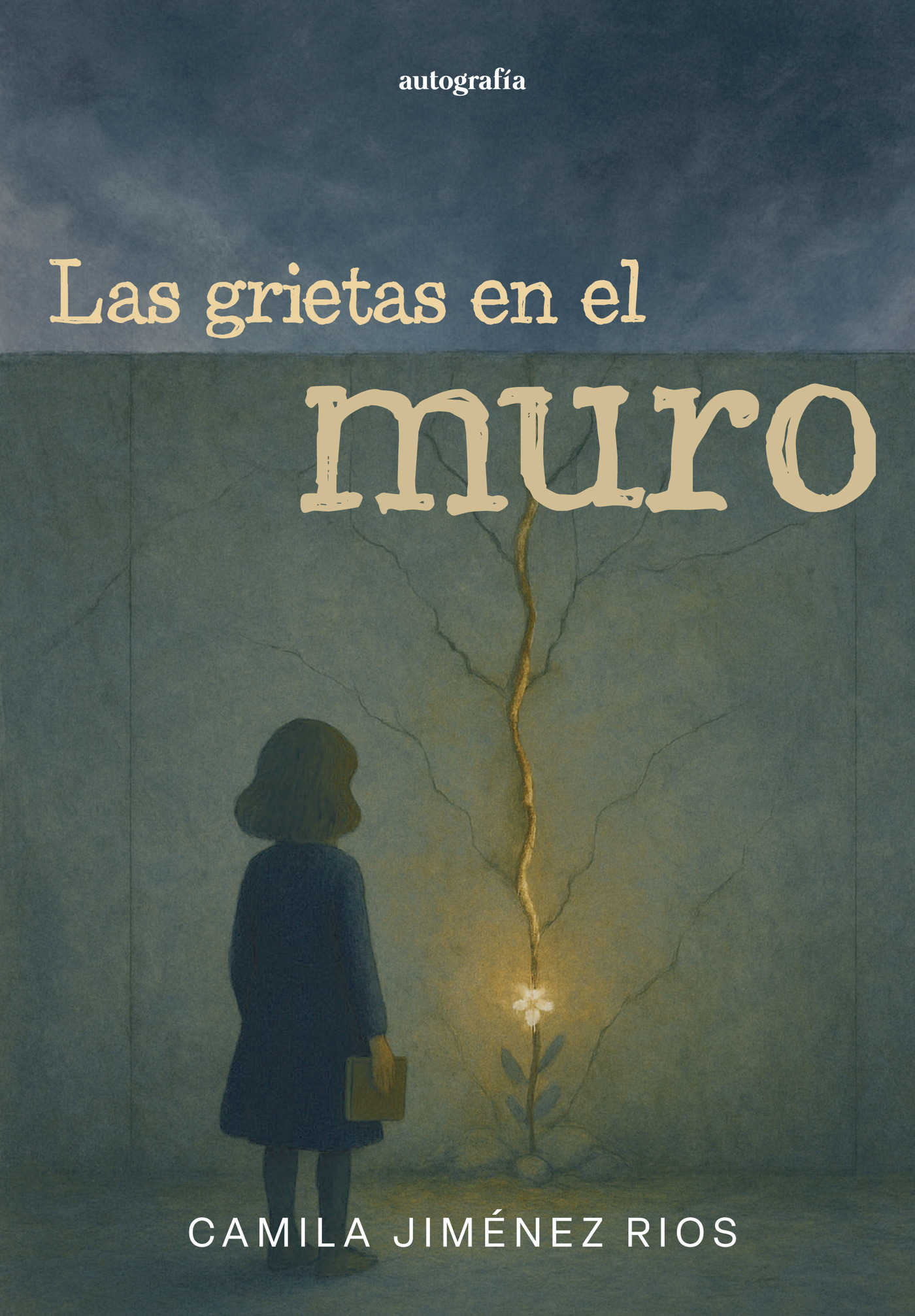 Portada de Las grietas en el muro