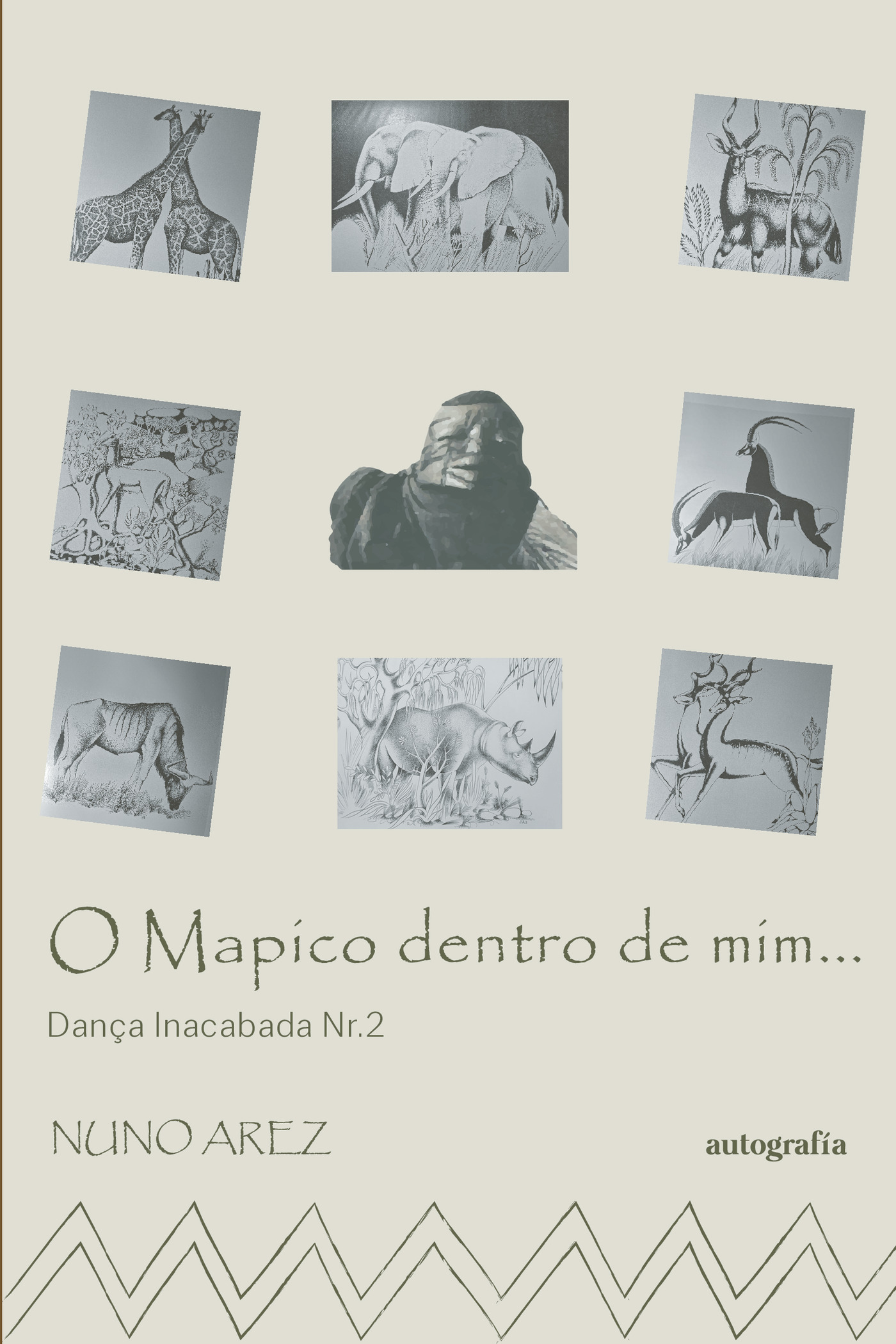 Portada de O mapico dentro de mim...