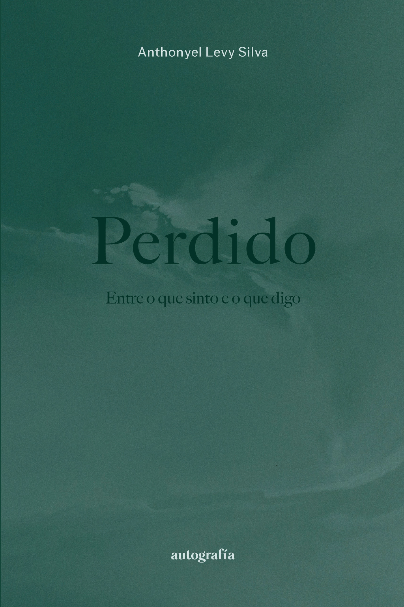 Portada de Perdido entre o que sinto e o que digo