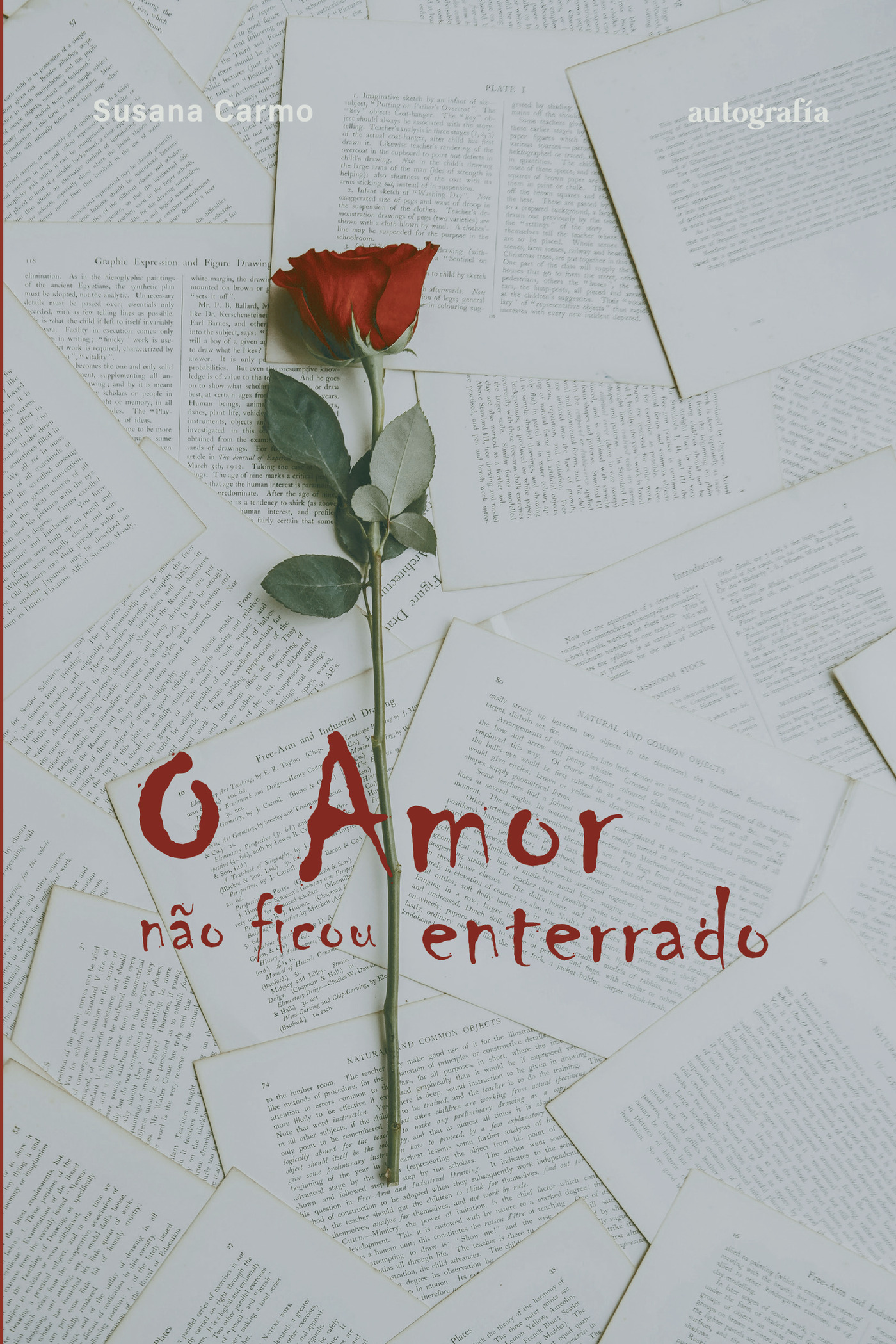 Portada de O amor nÛão ficou enterrado