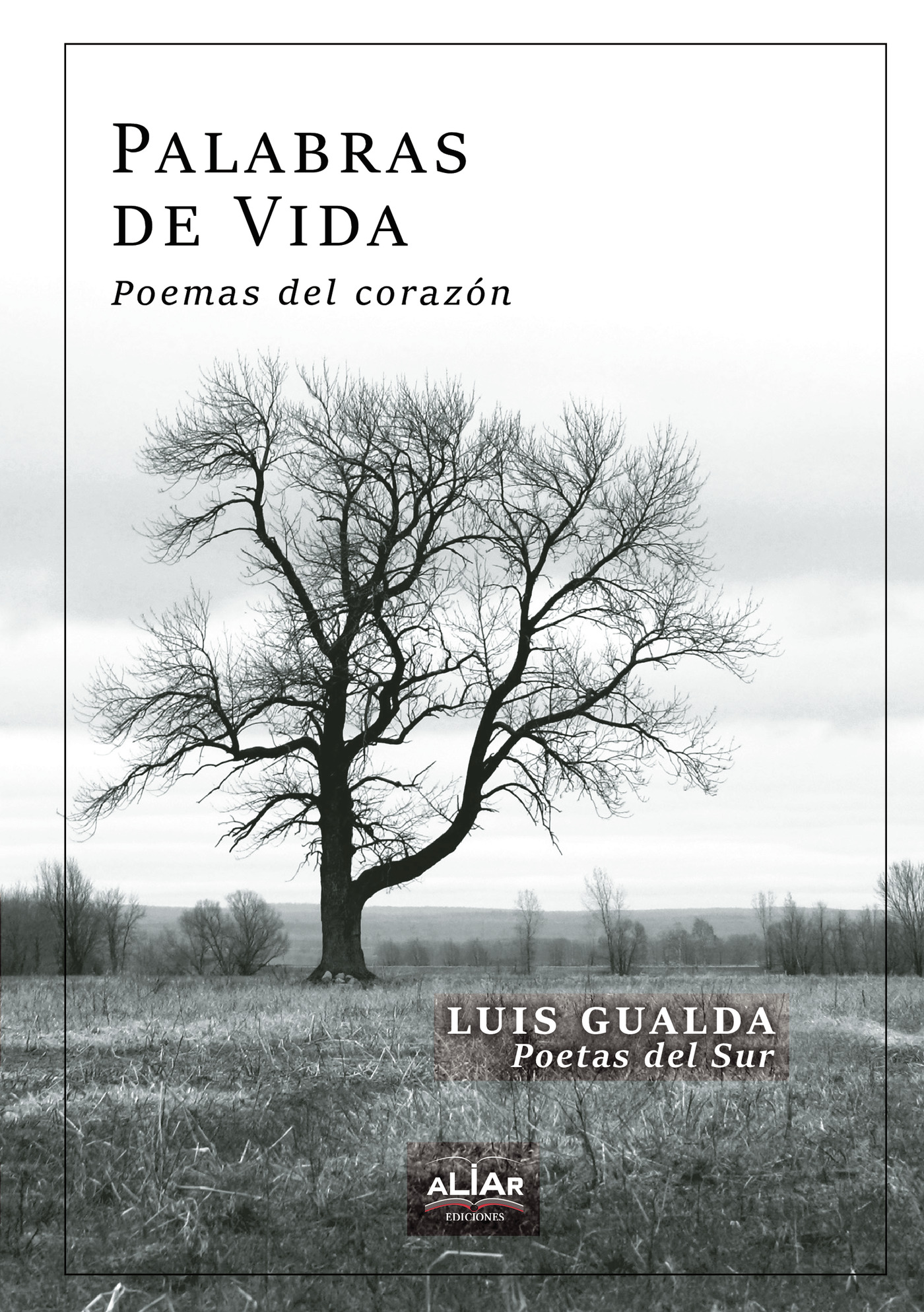 Portada de Palabras de vida