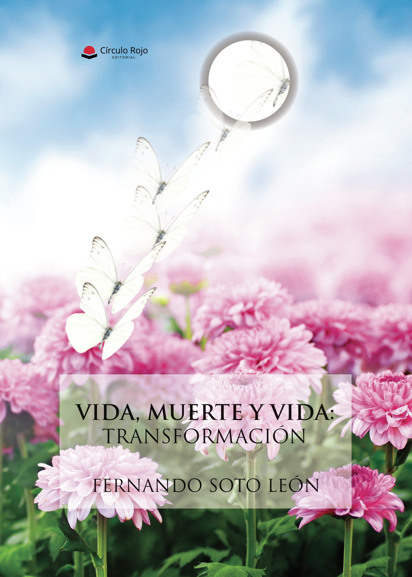 Portada de VIDA, MUERTE Y VIDA: TRANSFORMACIÓN