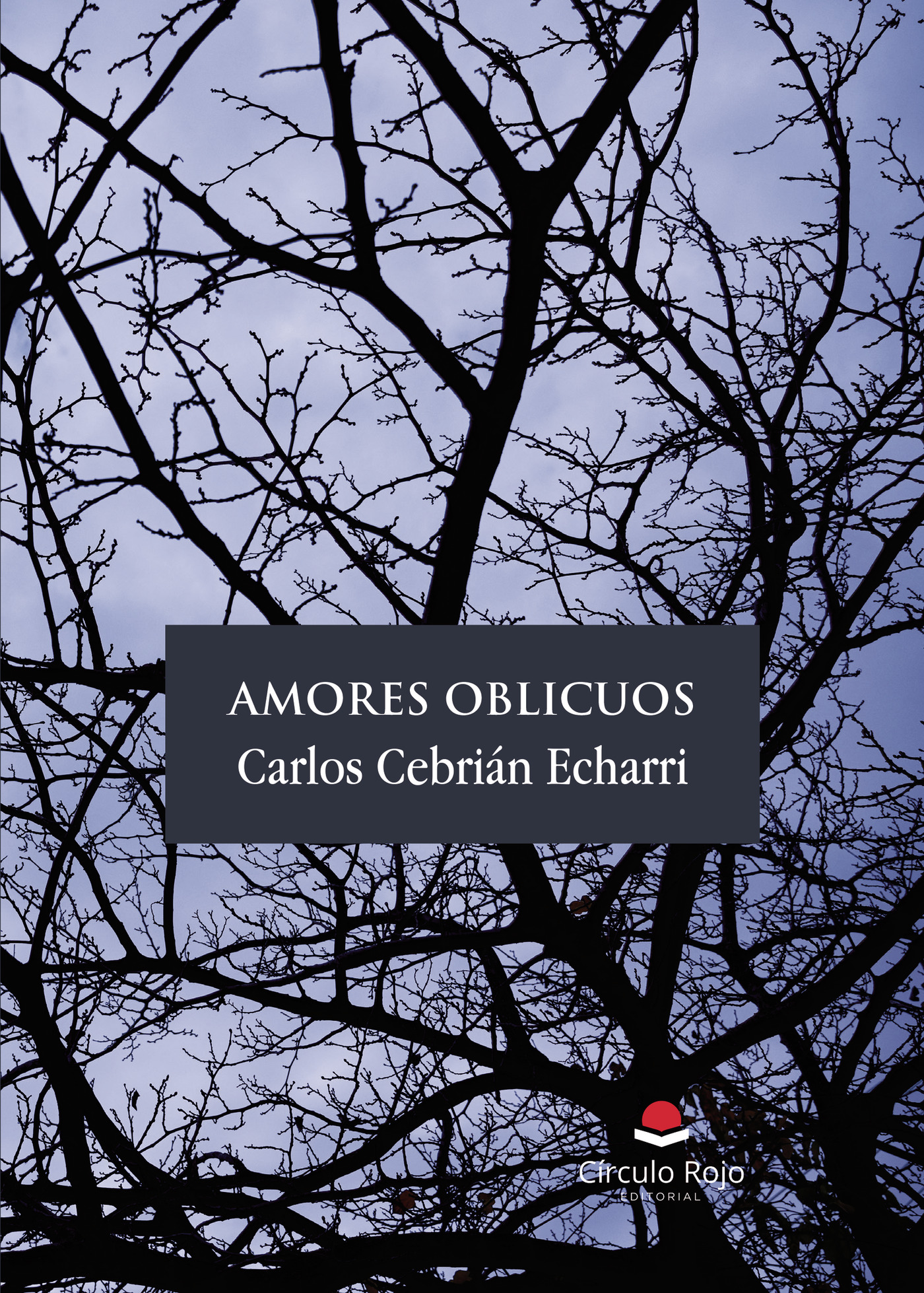 Portada de Amores oblicuos