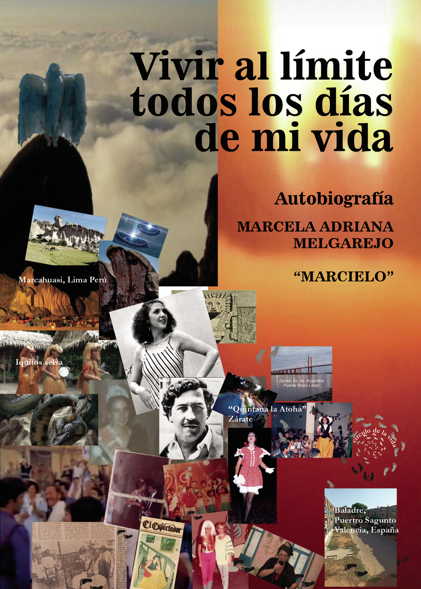 Portada de Vivir al límite todos los días de mi vida