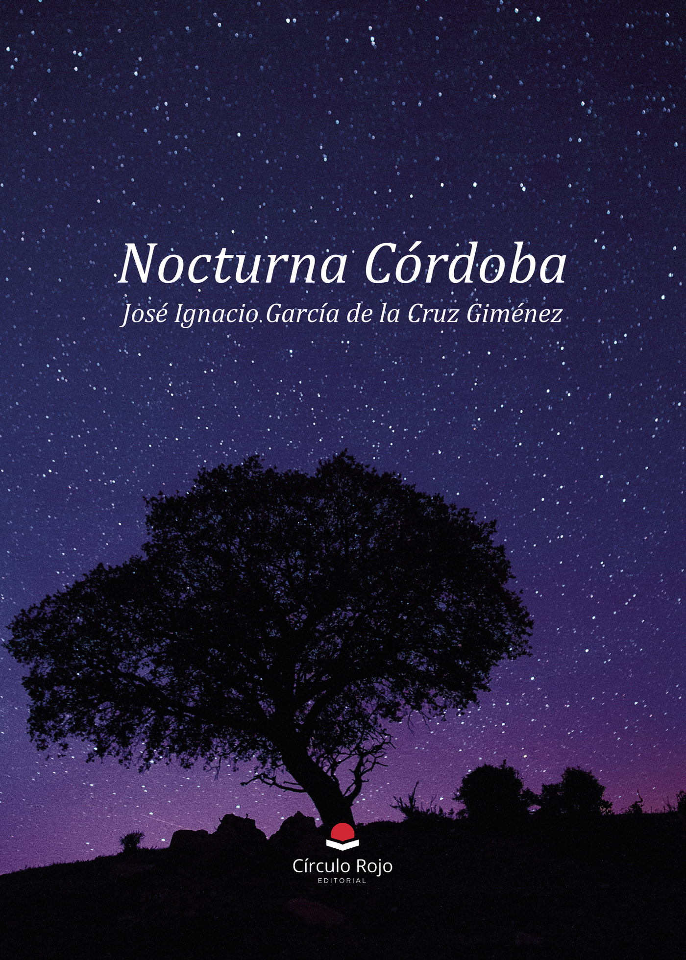 Portada de Nocturna Córdoba · José Ignacio García de la Cruz Giménez