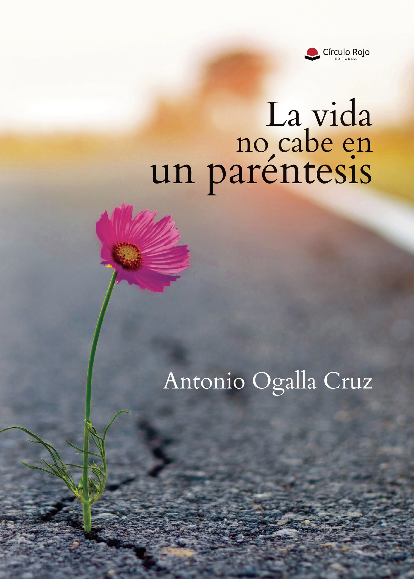 Portada de La vida no cabe en un paréntesis