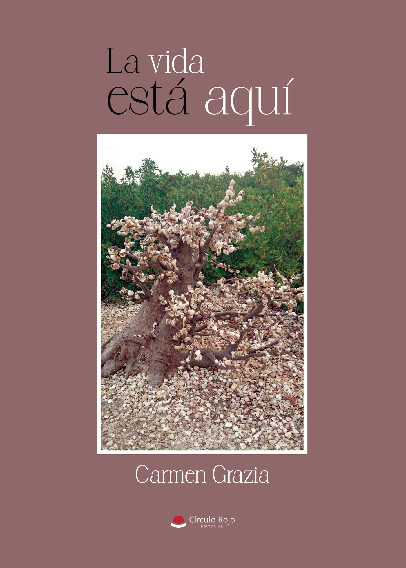 Portada de La vida está aquí