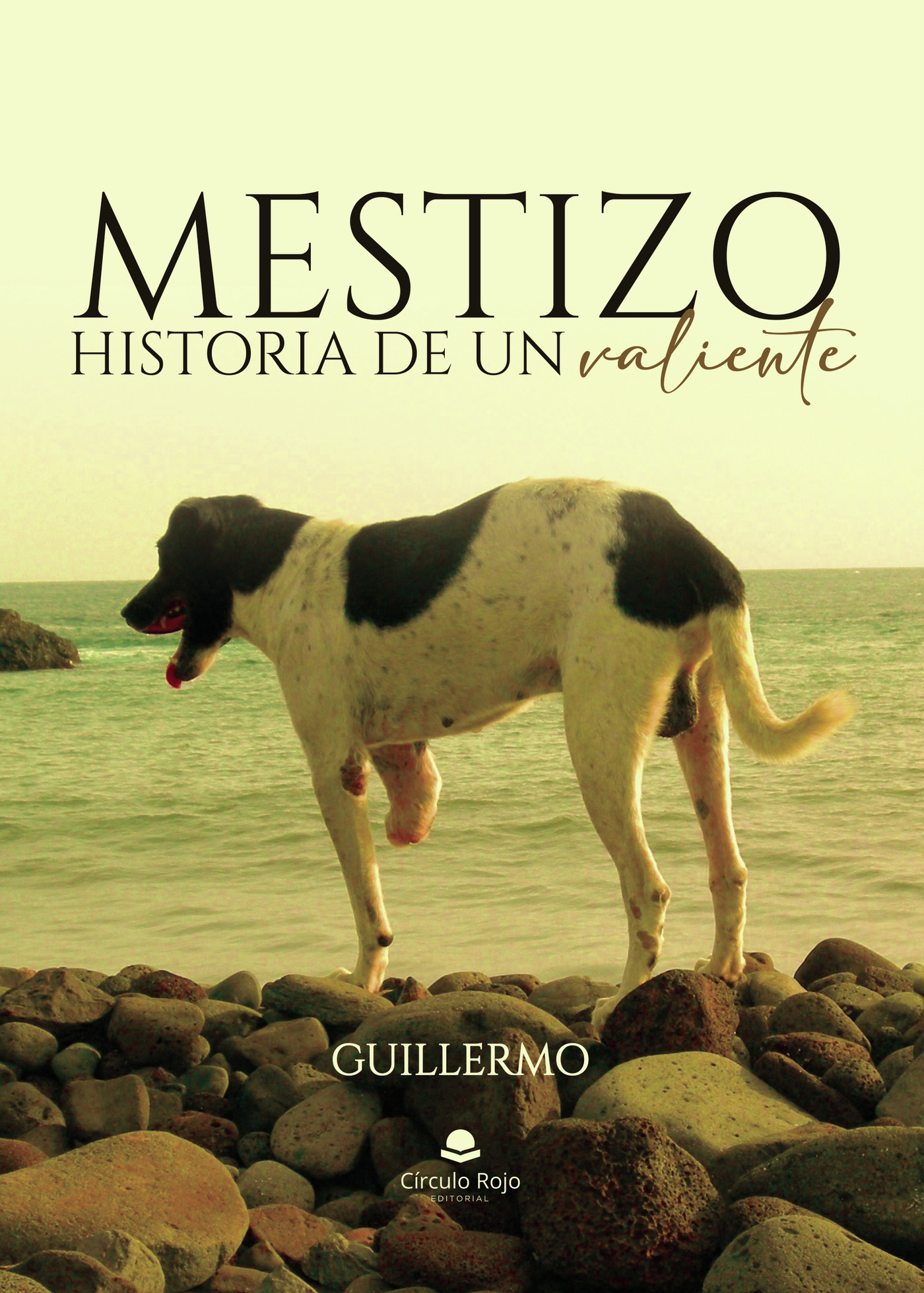 Portada de Mestizo, historia de un valiente