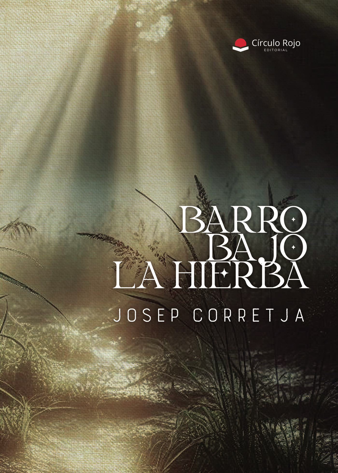 Portada de BARRO BAJO LA HIERBA