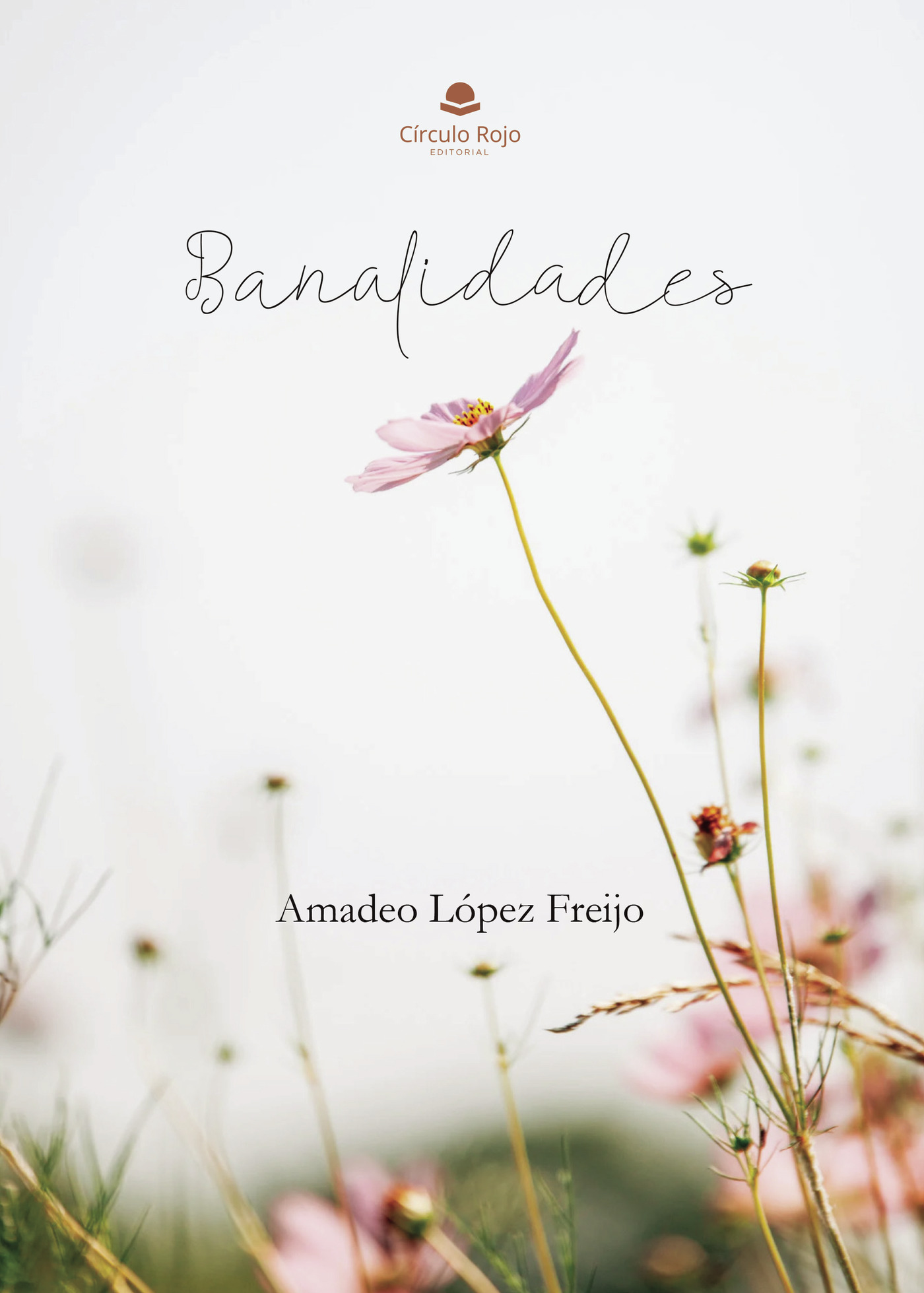Portada de Banalidades