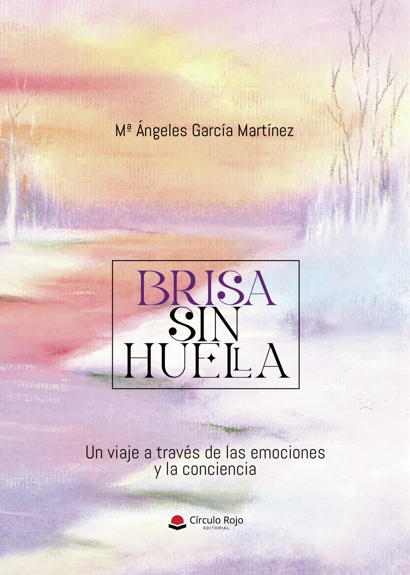 Portada de Brisa sin huella