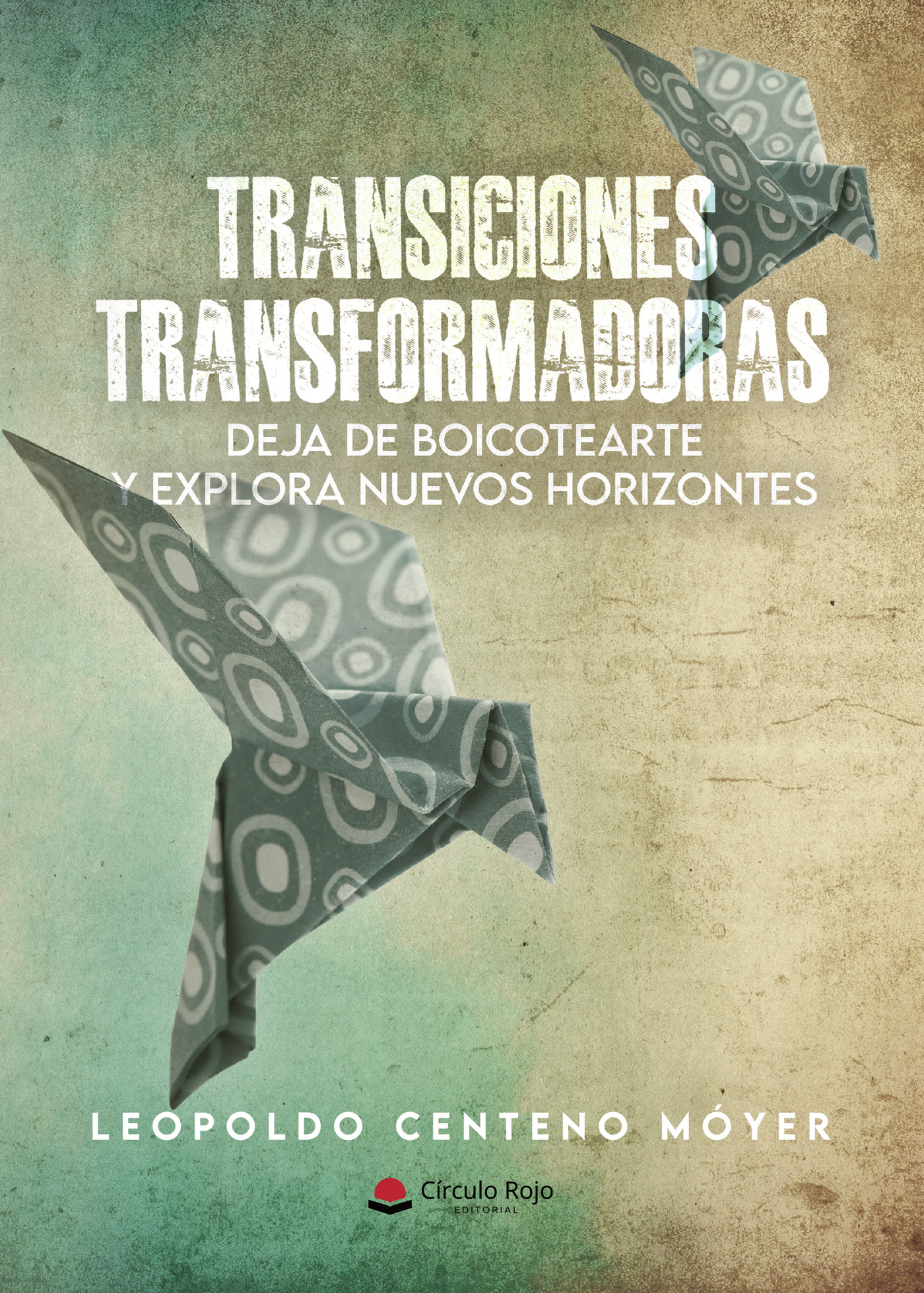 Portada de Transiciones transformadoras