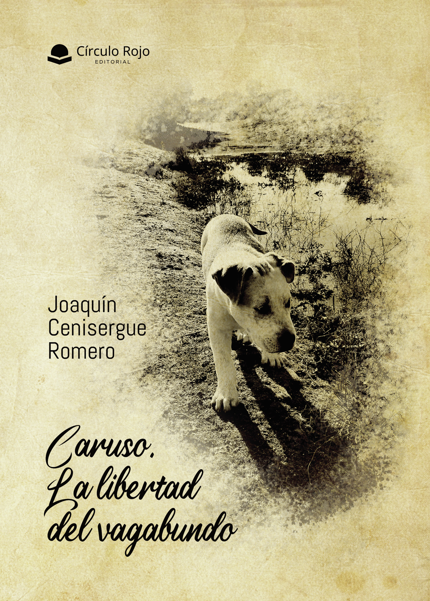 Portada de Caruso. La libertad del vagabundo