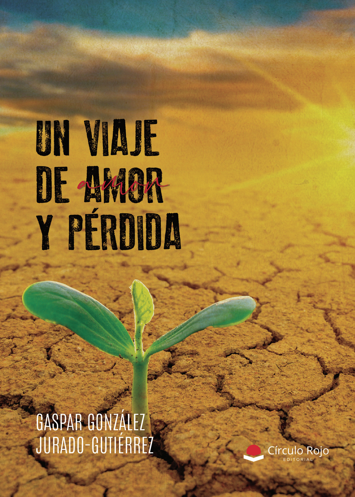 Portada de Un Viaje de Amor y Pérdida