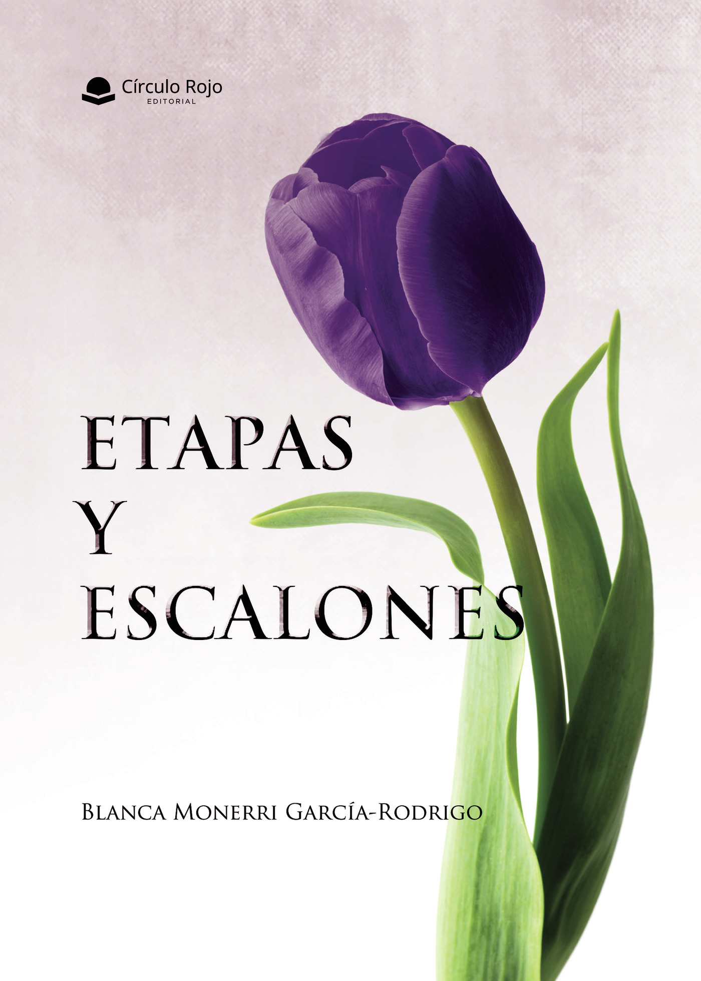 Portada de Etapas y escalones