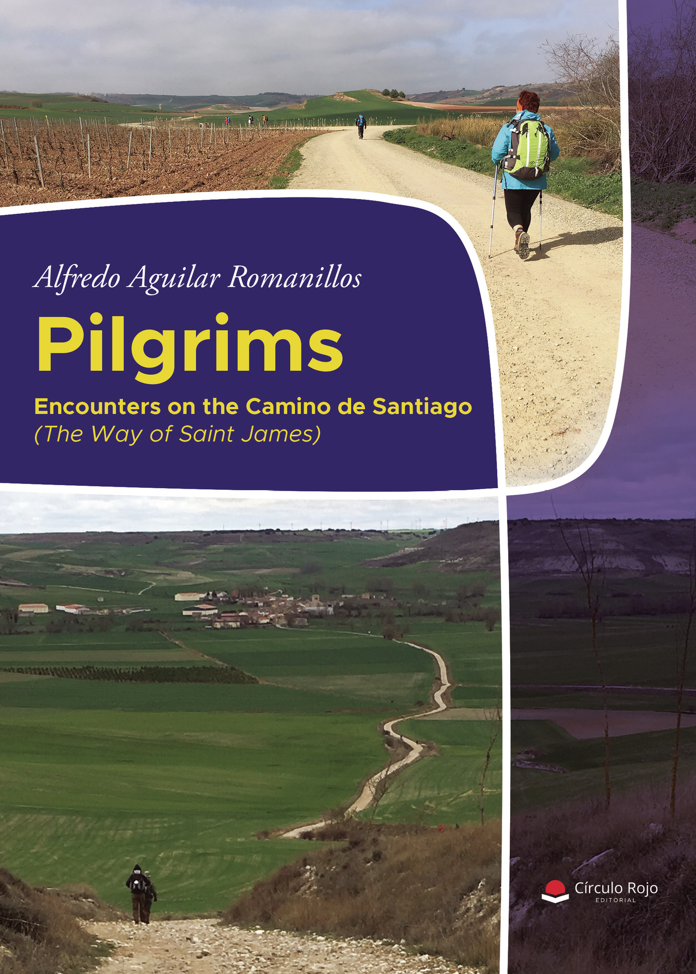 Portada de Pilgrims Encounters on the Camino de Santiago (The Way of Saint James)