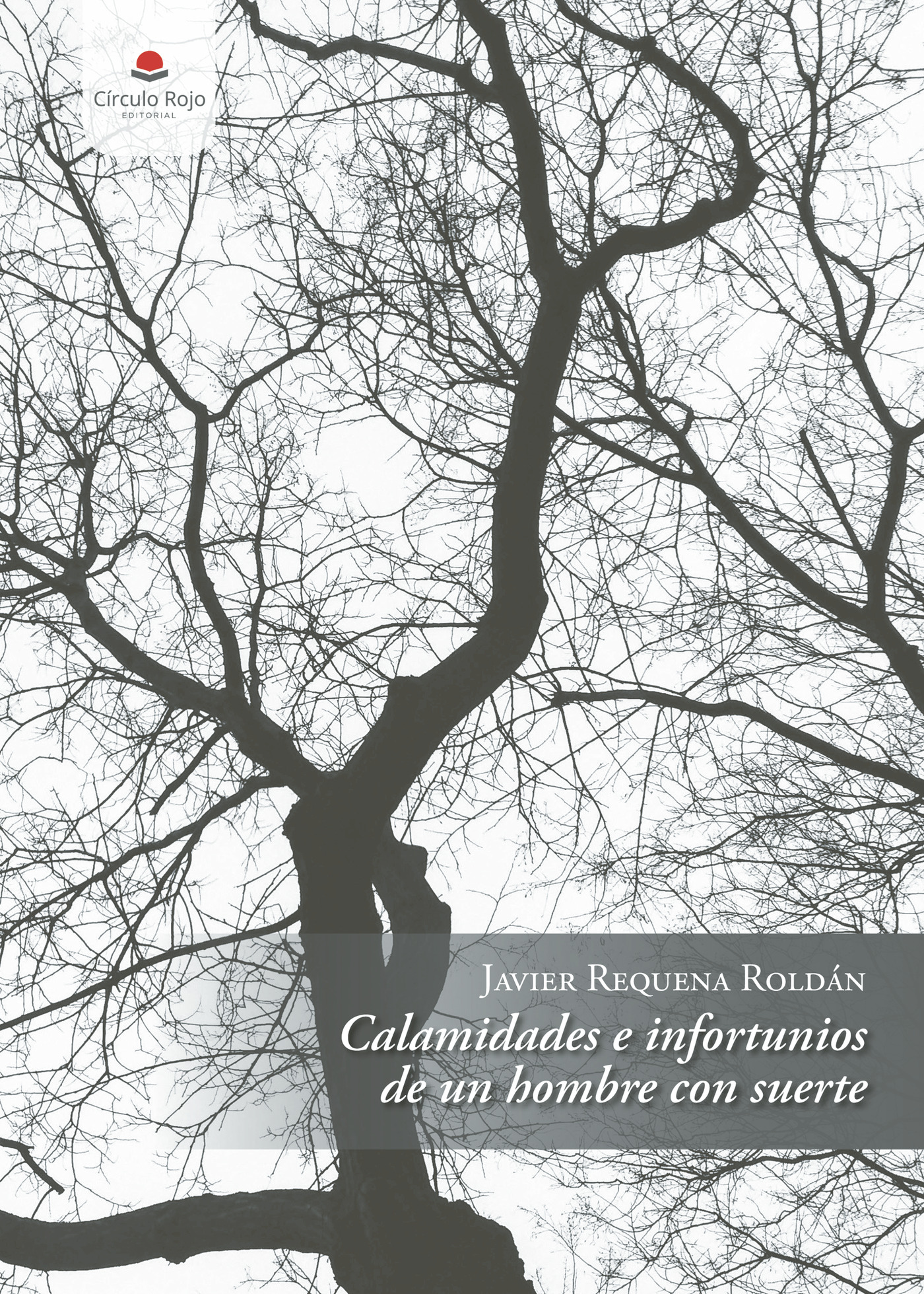 Portada de Calamidades e infortunios de un hombre con suerte