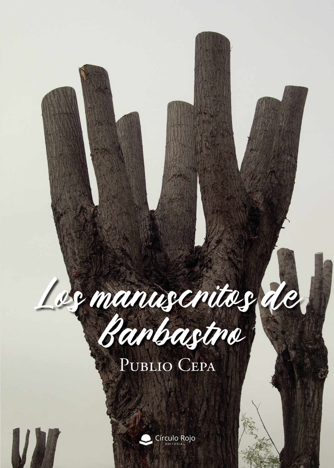 Portada de Los manuscritos de Barbastro