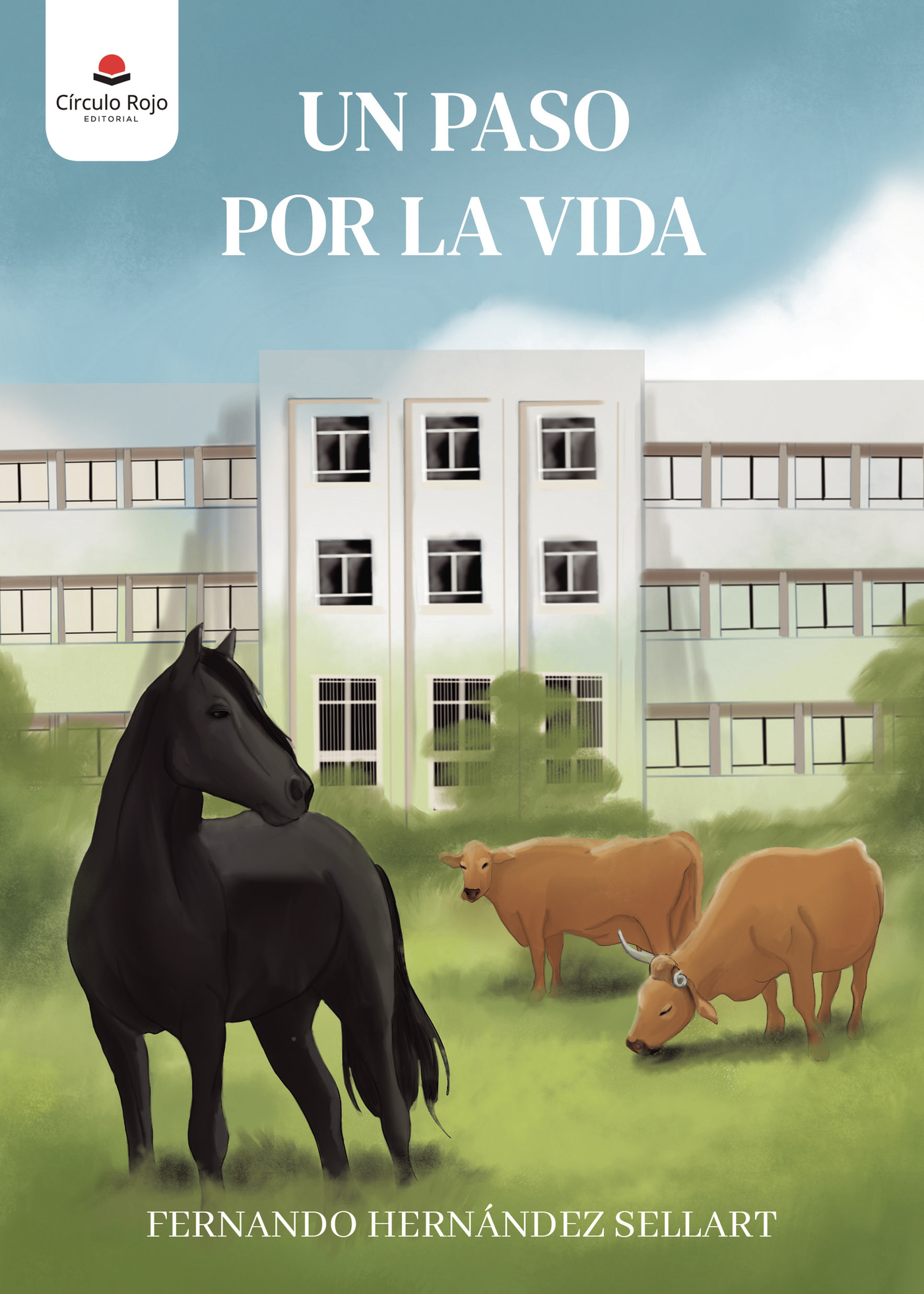 Portada de Un paso por la vida