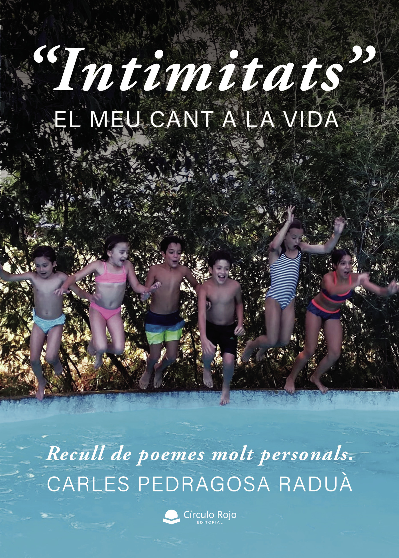 Portada de Intimitats El meu cant a la vida