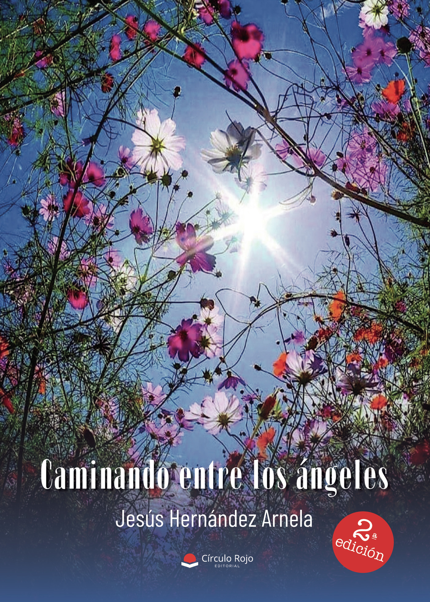 Portada de Caminando entre los ángeles